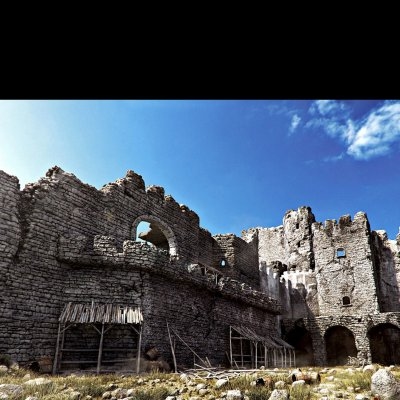   The Abandoned Castle