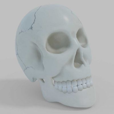 جمجمه انسان