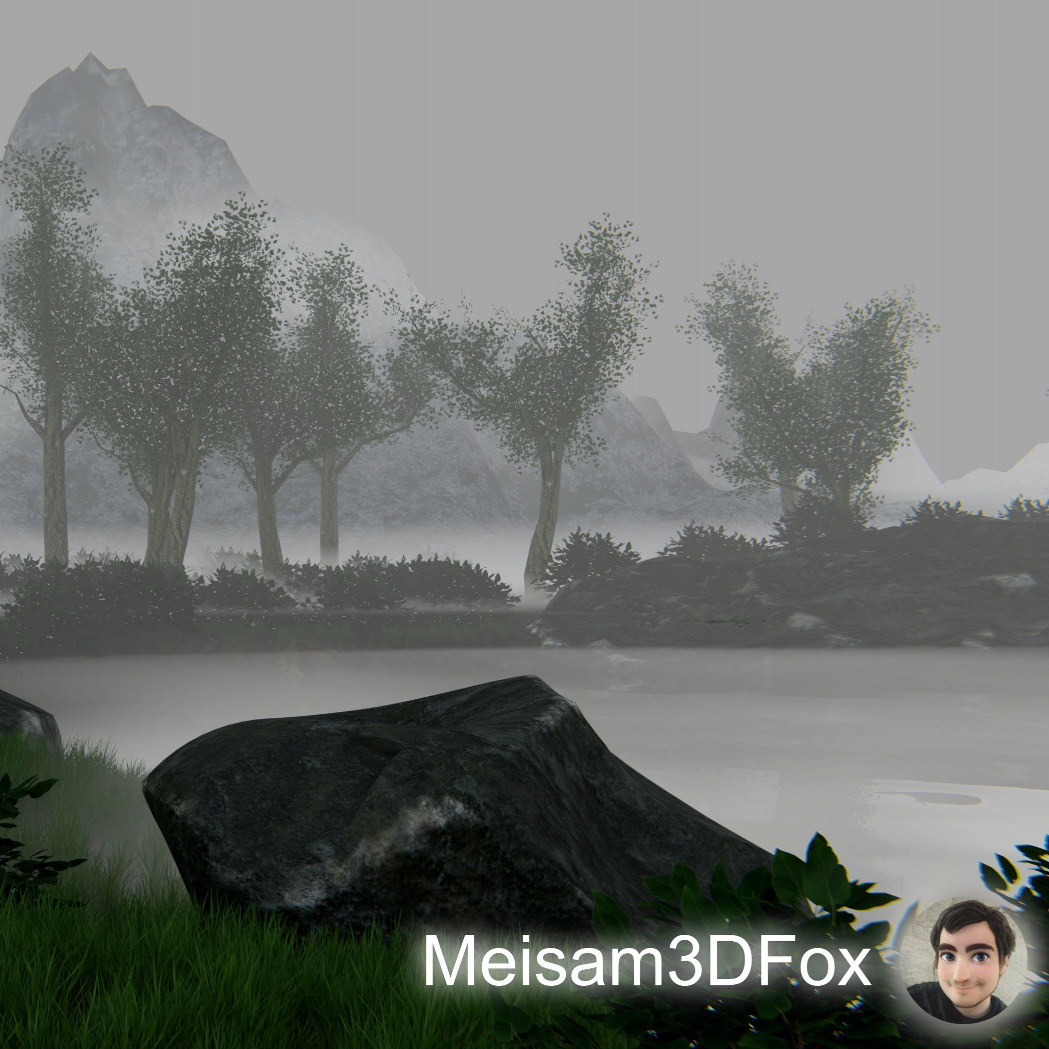 Fox Woods