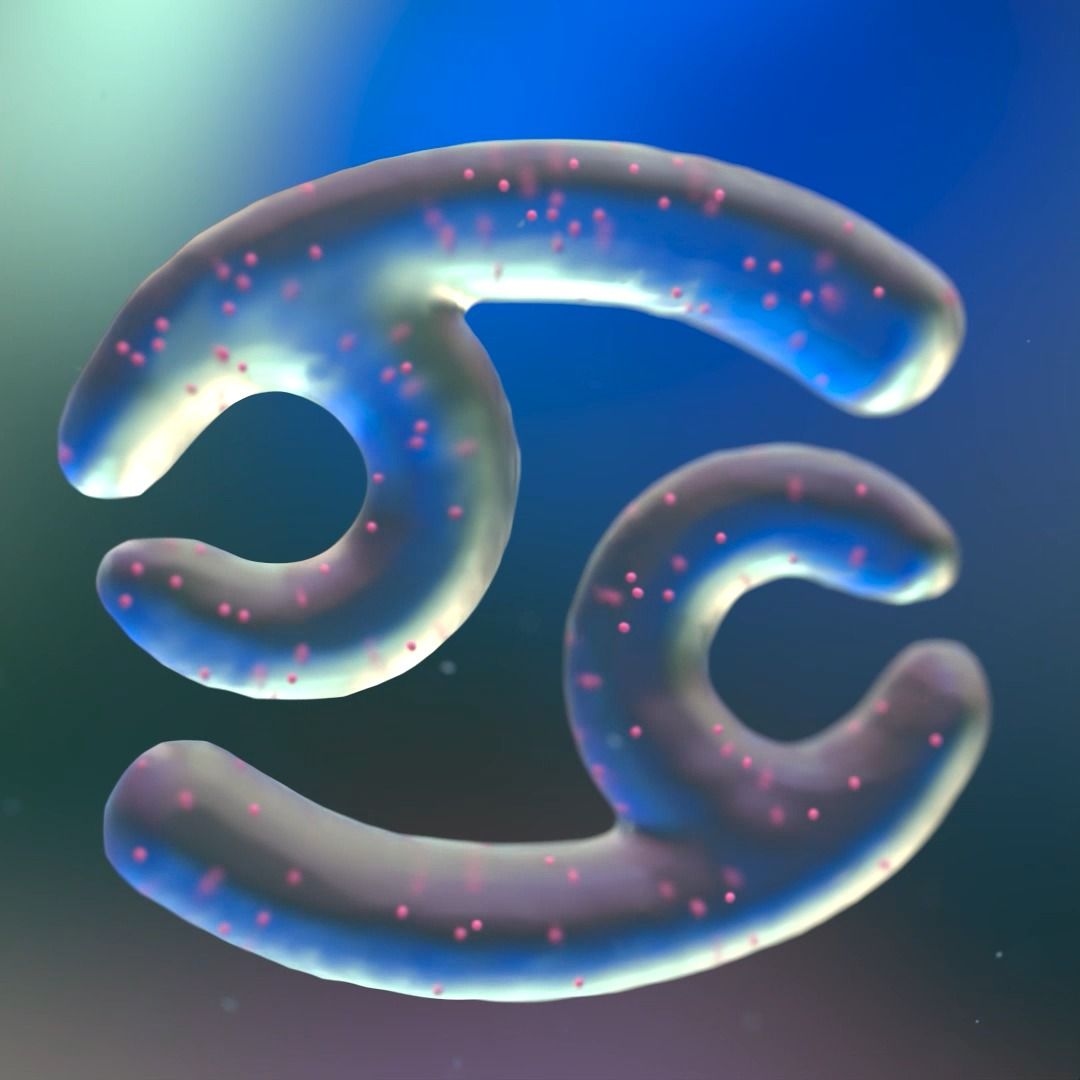 5558