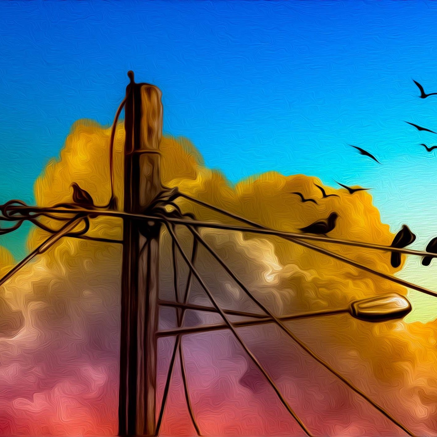 پرندهای آسمانی