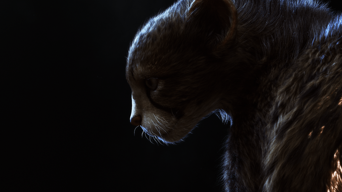 Cheetah (Yeti Grooming)