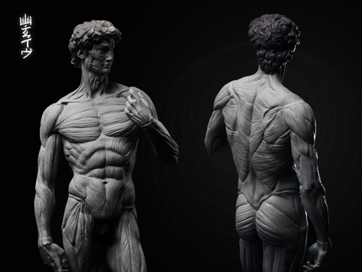 David Anatomy