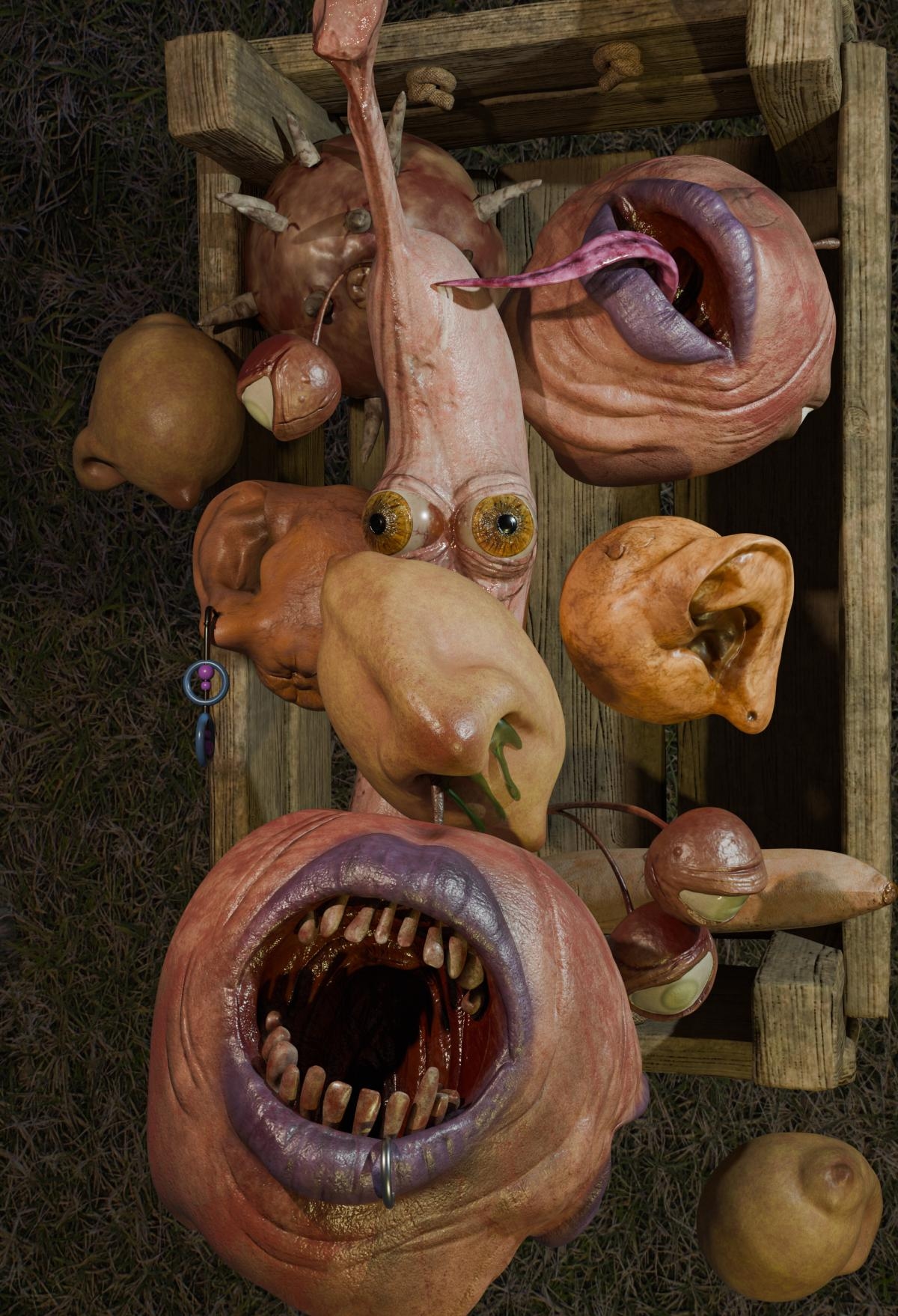 سبد میوه طلسم شده