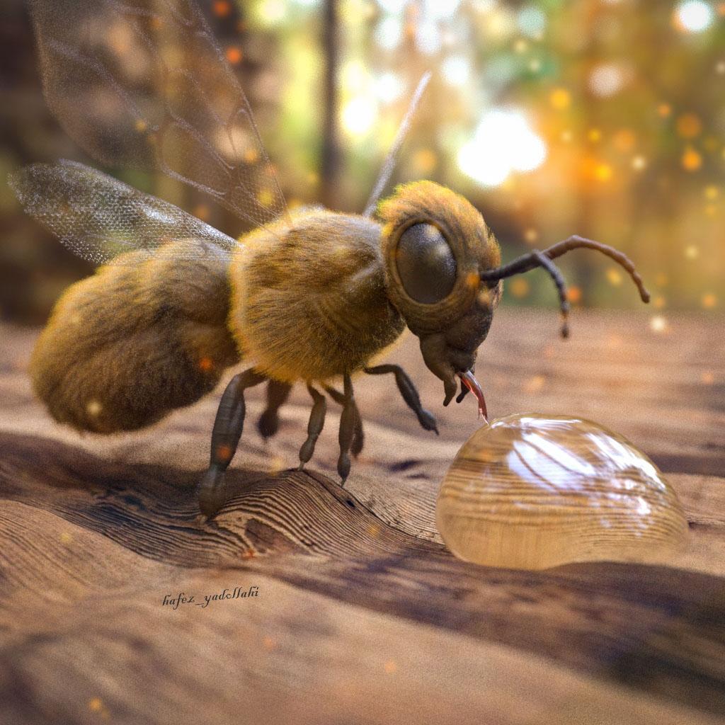 Bee