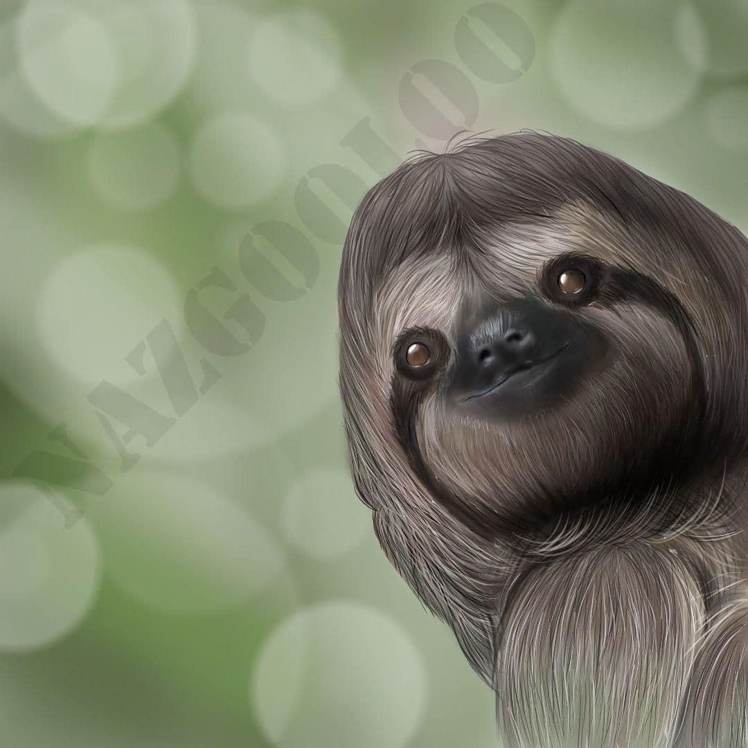 sloth