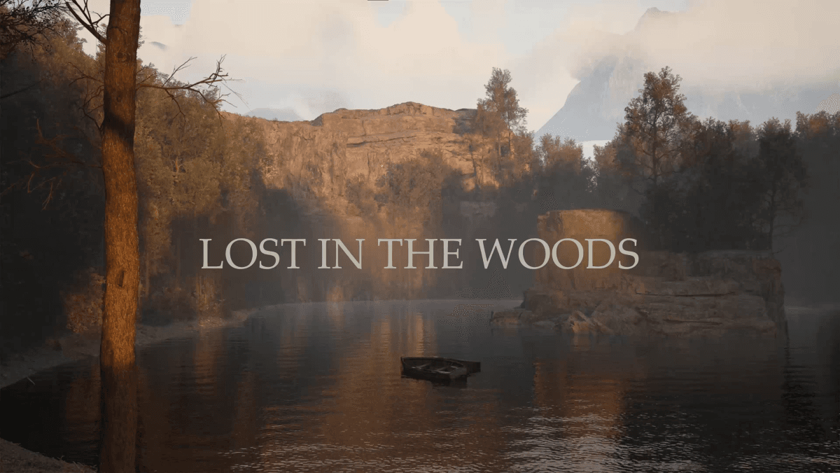 LOST IN THE WOODS