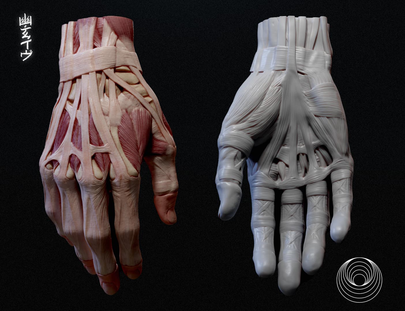 Hand Anatomy