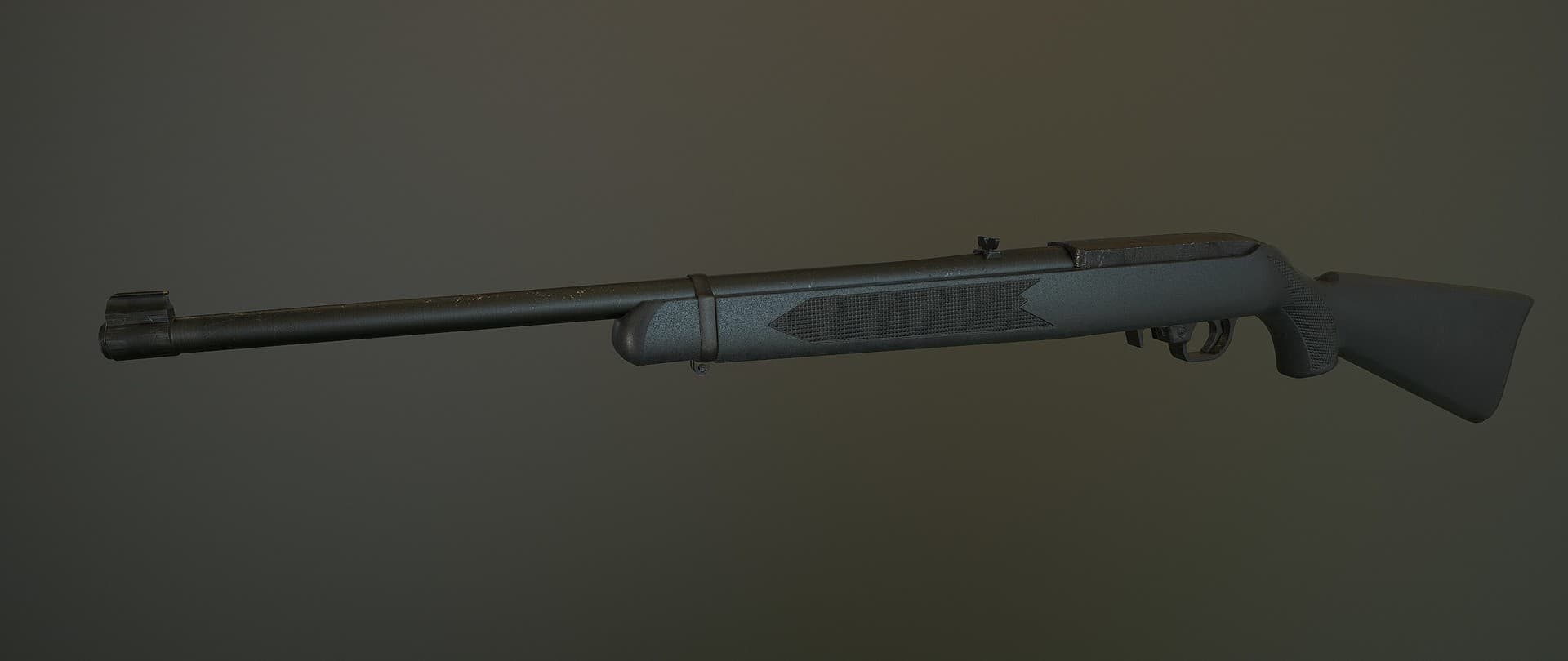 Ruger 10 22