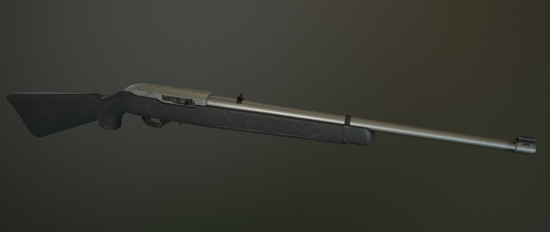 Ruger 10 22