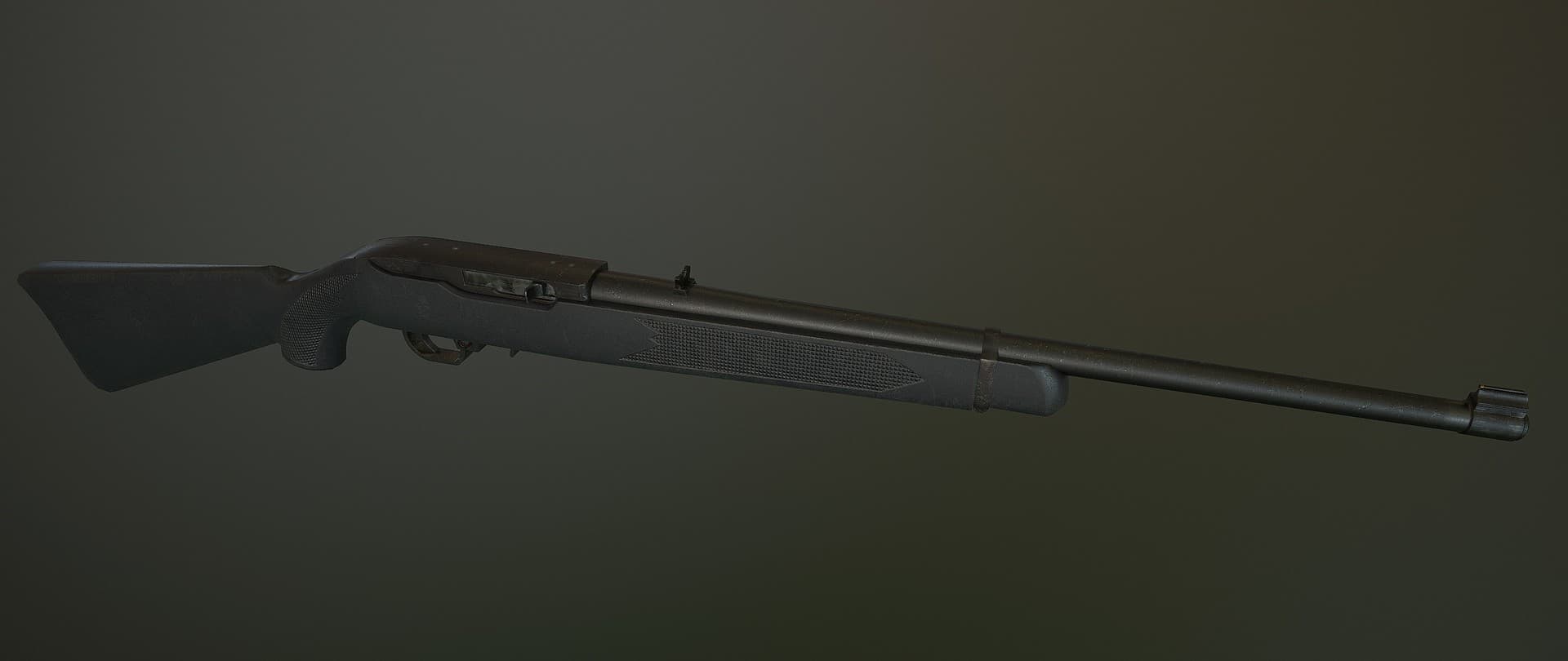 Ruger 10 22