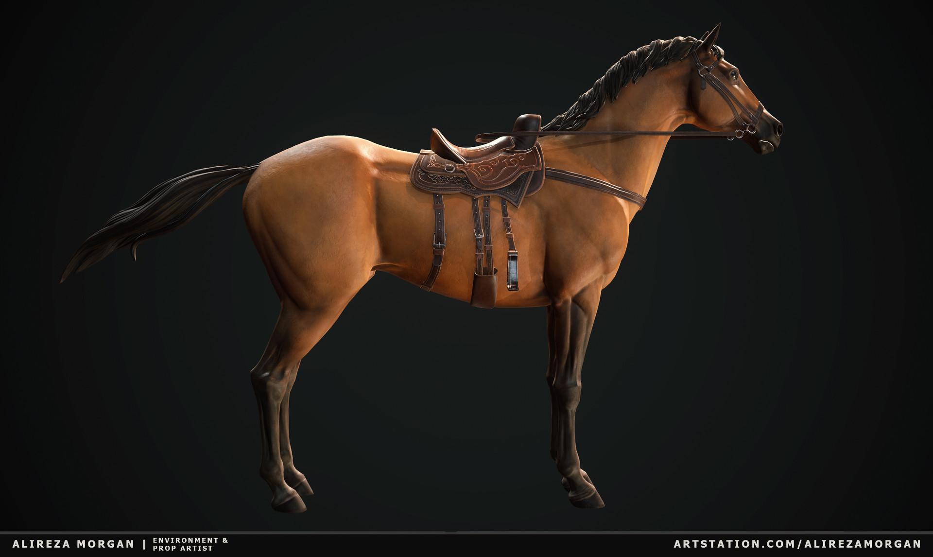 Horse Saddle