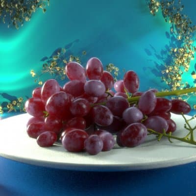 تلقین