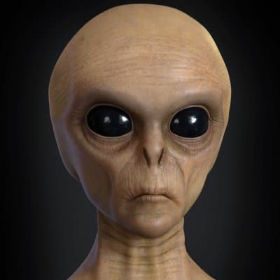 393