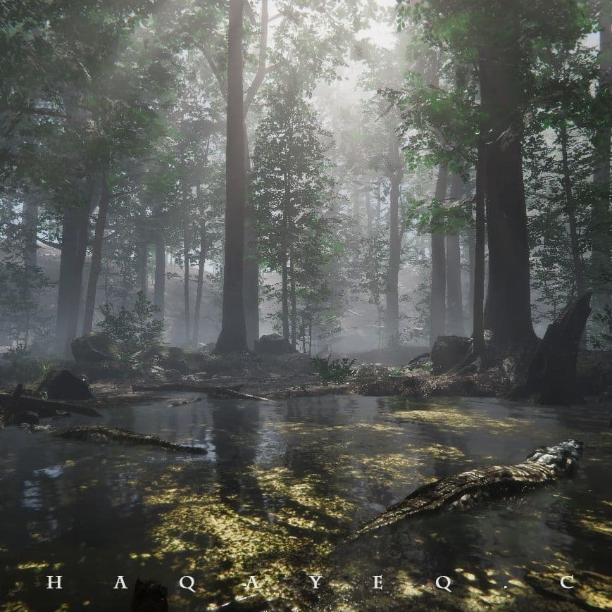 the wild land