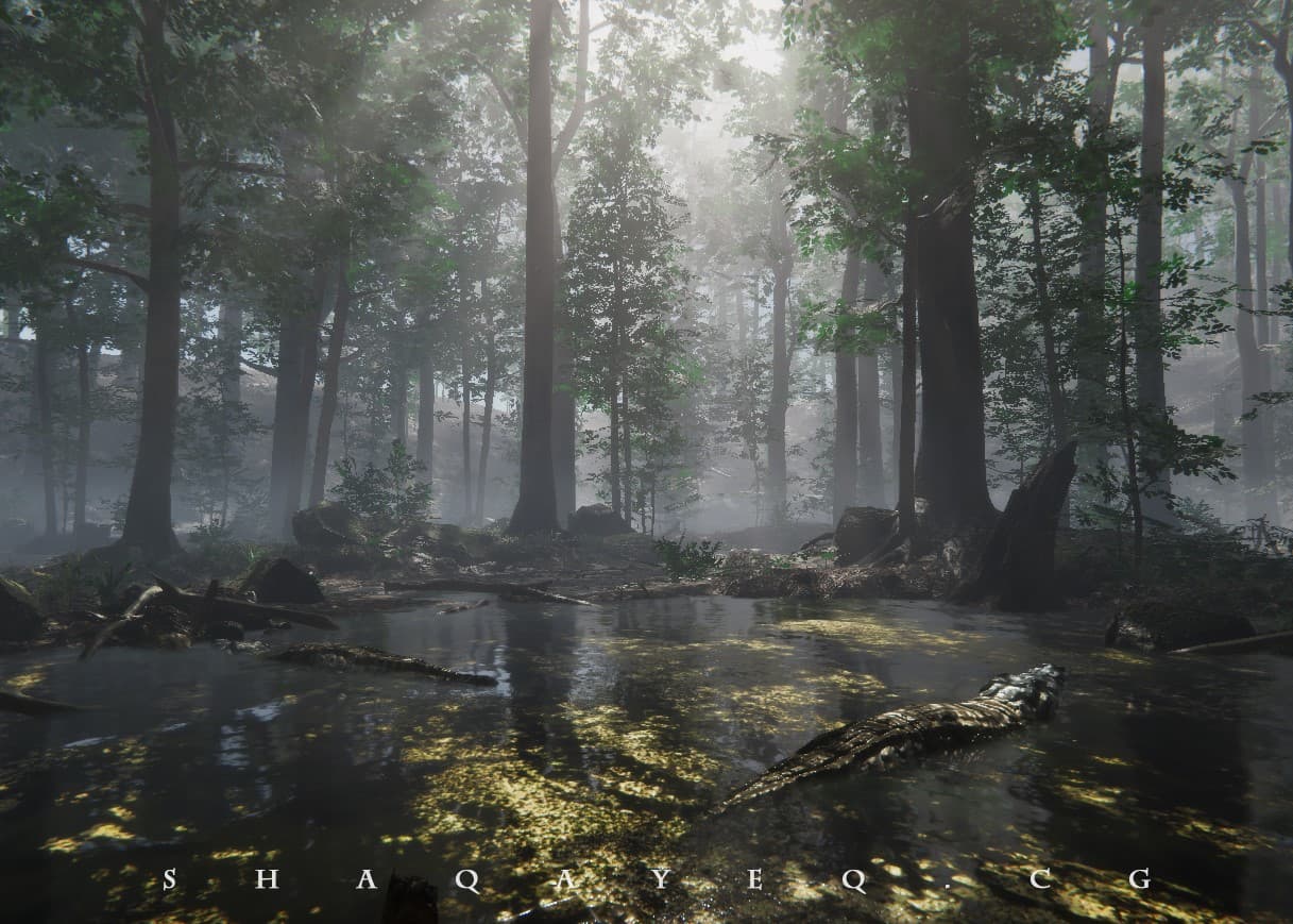 the wild land