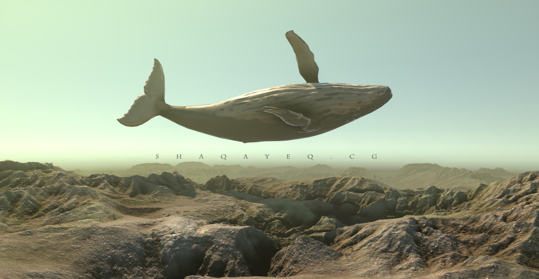 the dead whale