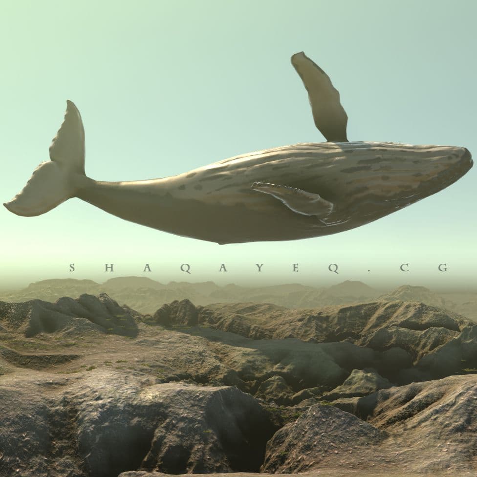 the dead whale
