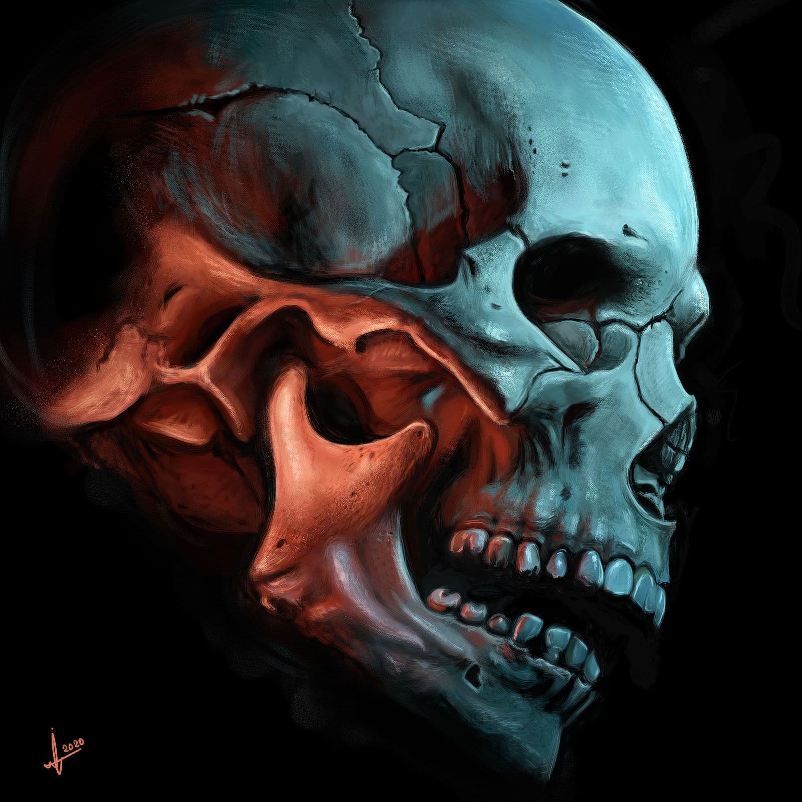 Skull