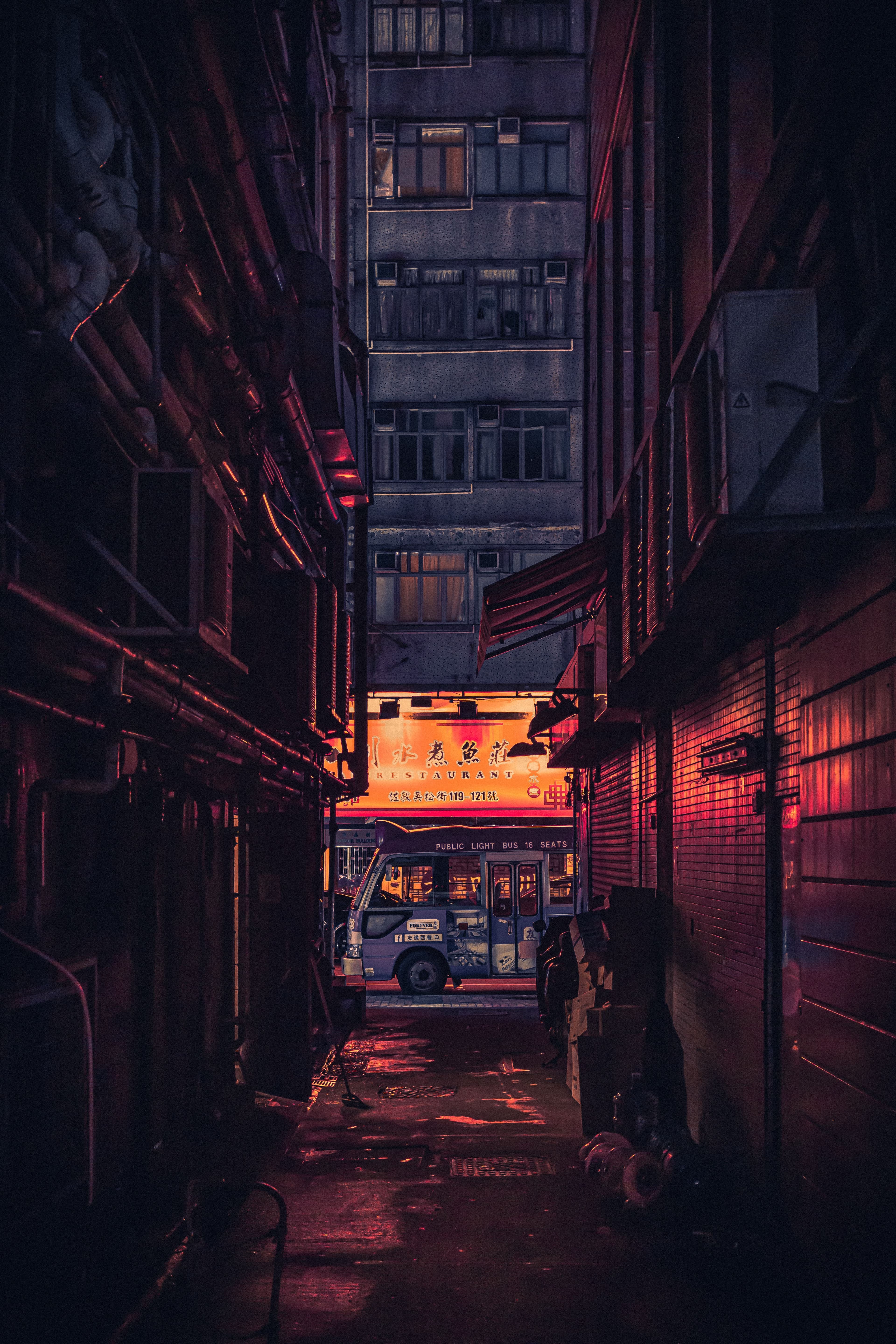 Fox & Light