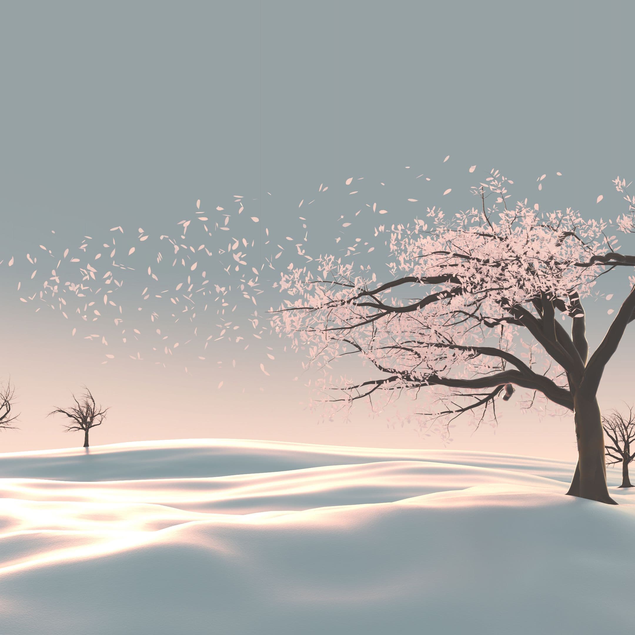 Floating leaves