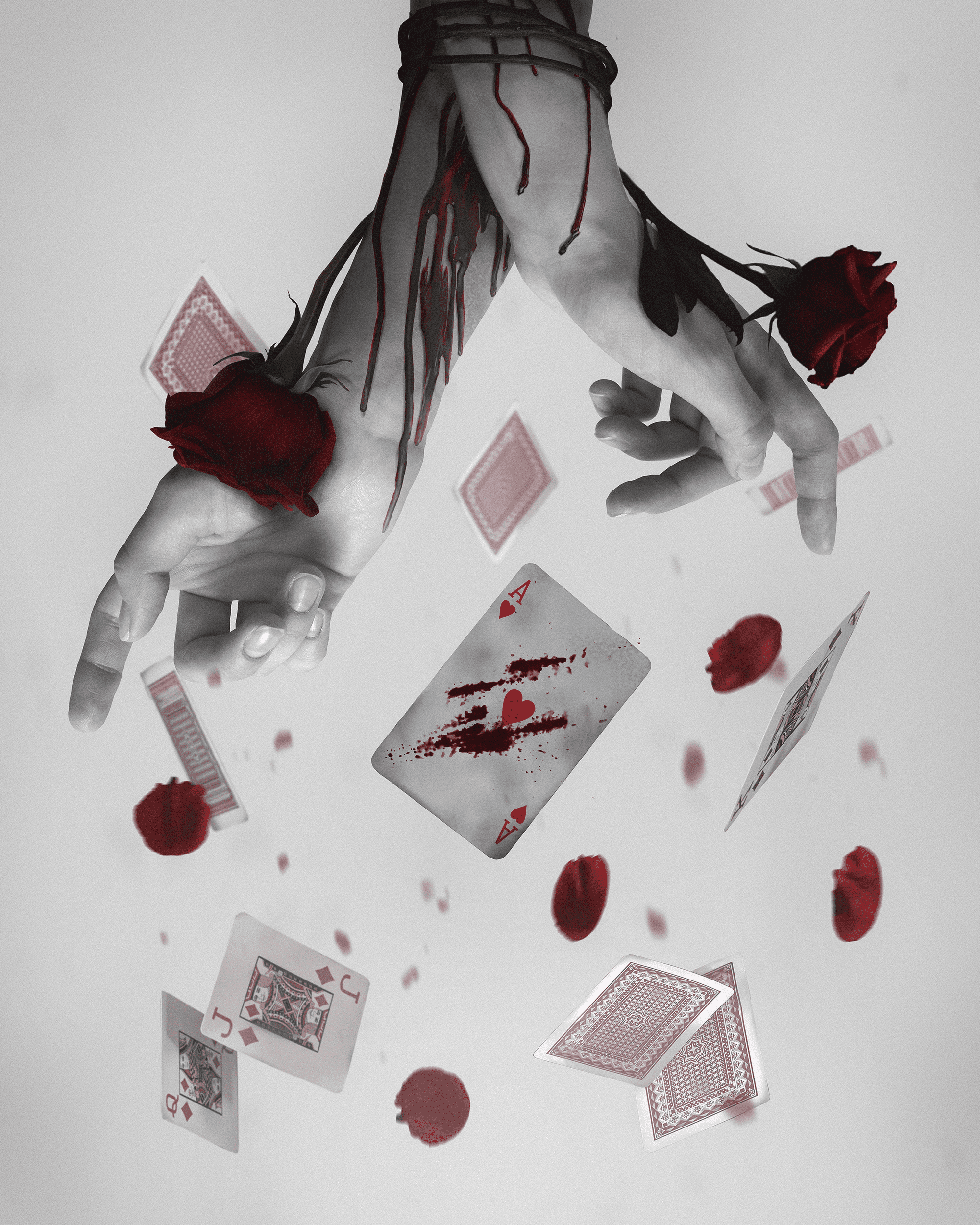 The Game of Life