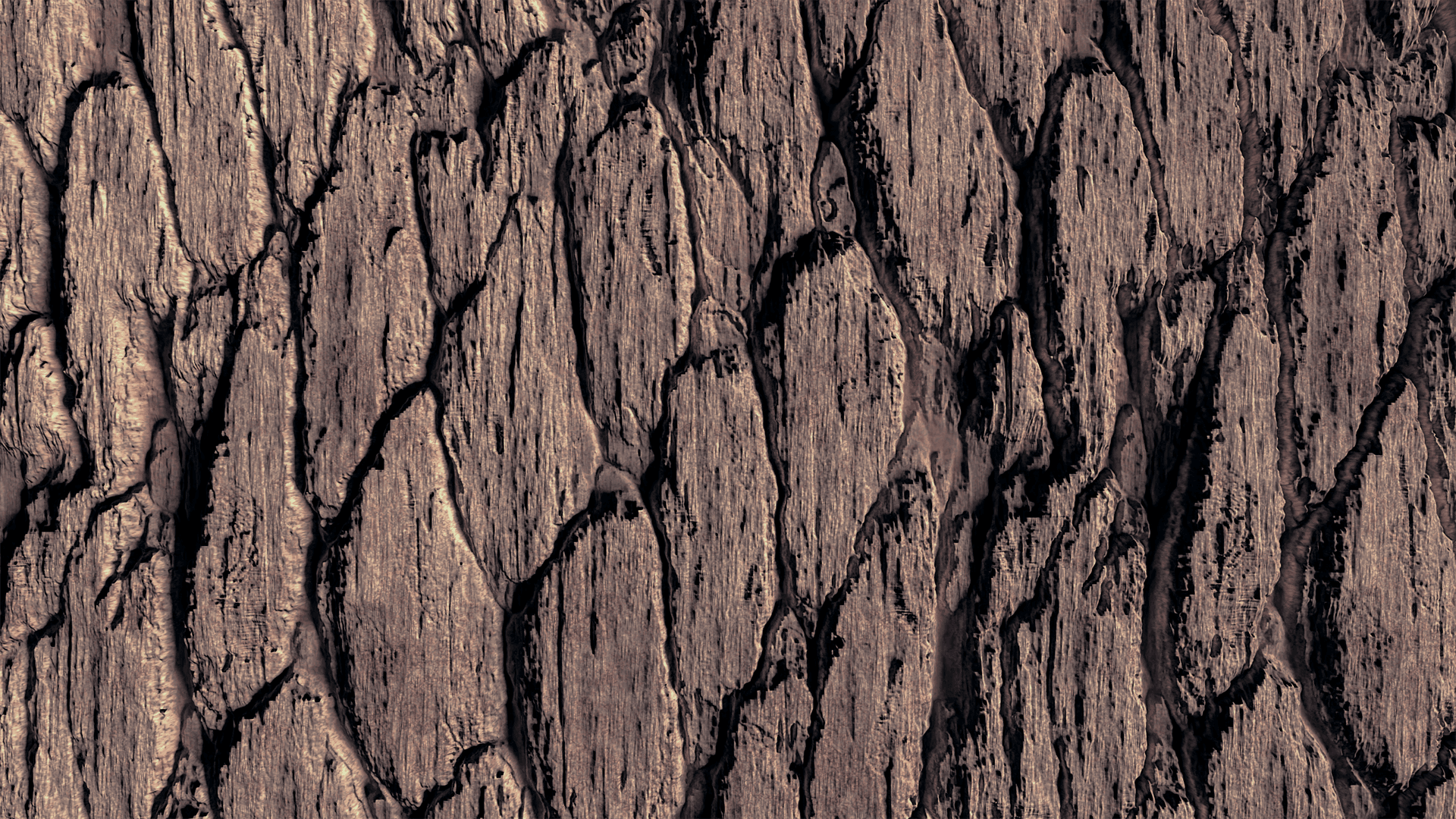 Tree Trunk