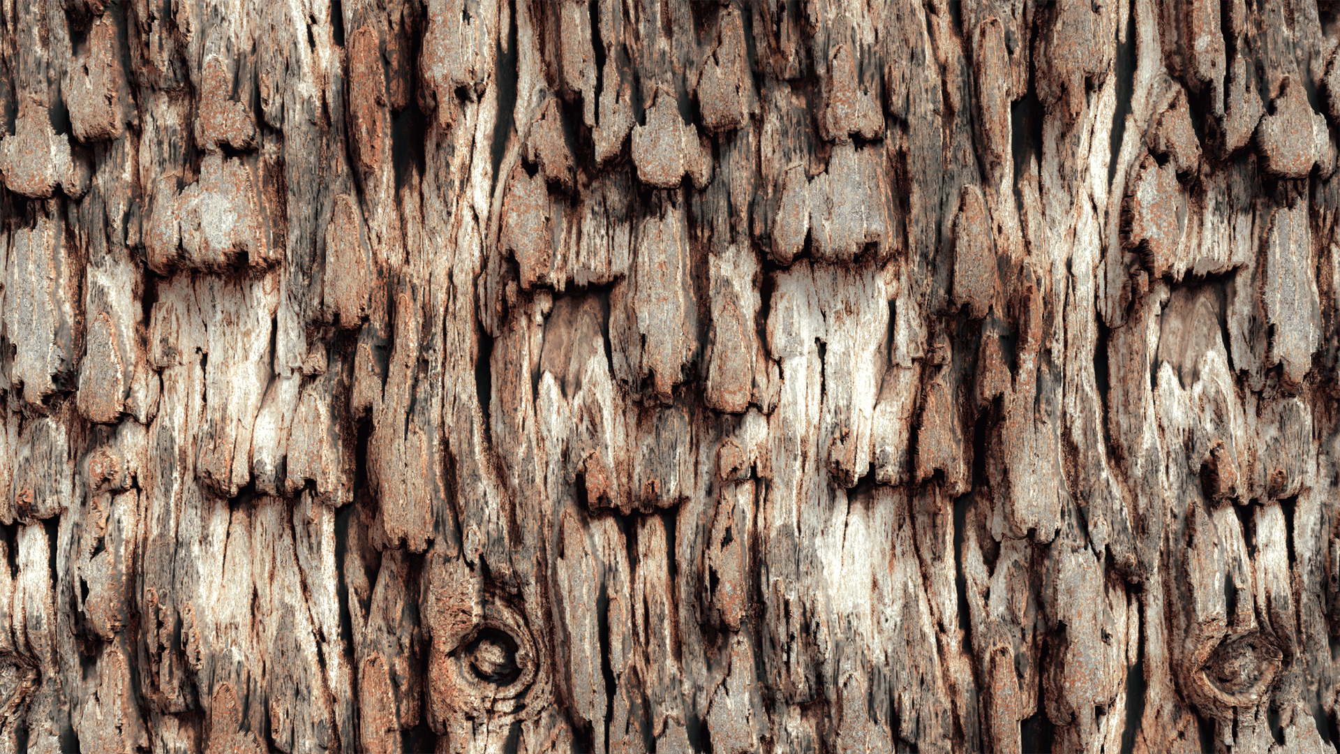 Tree Trunk
