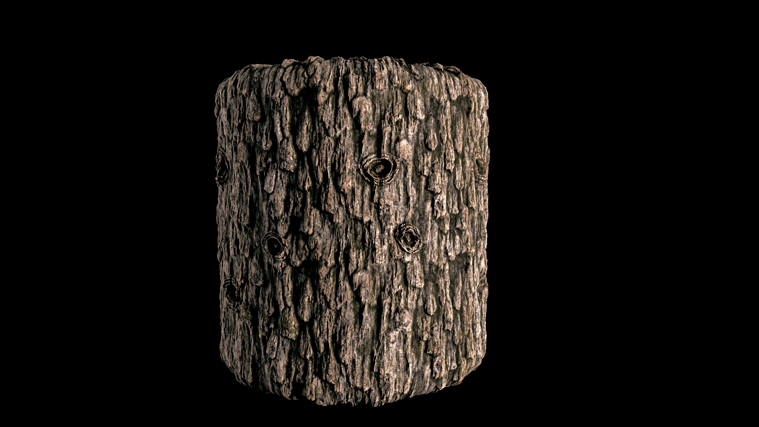Trunk tree