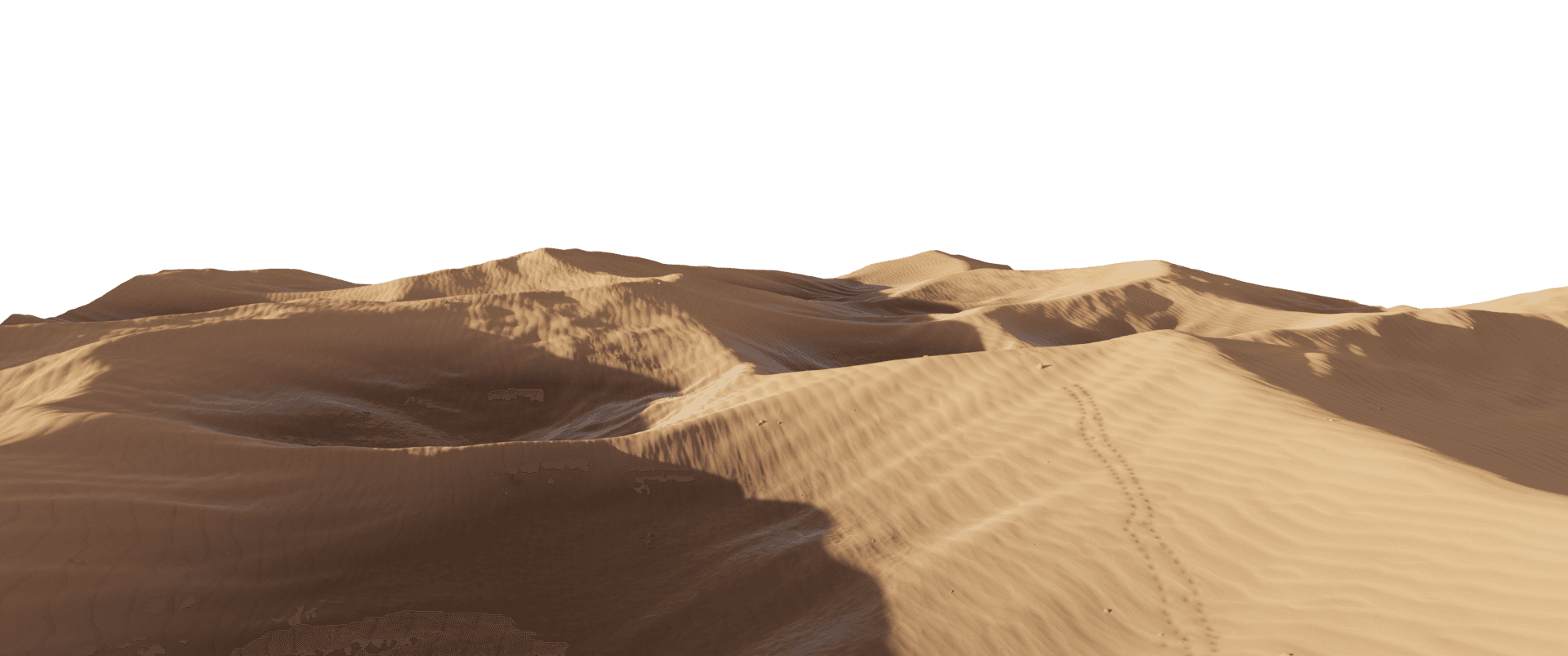 Desert Oasis