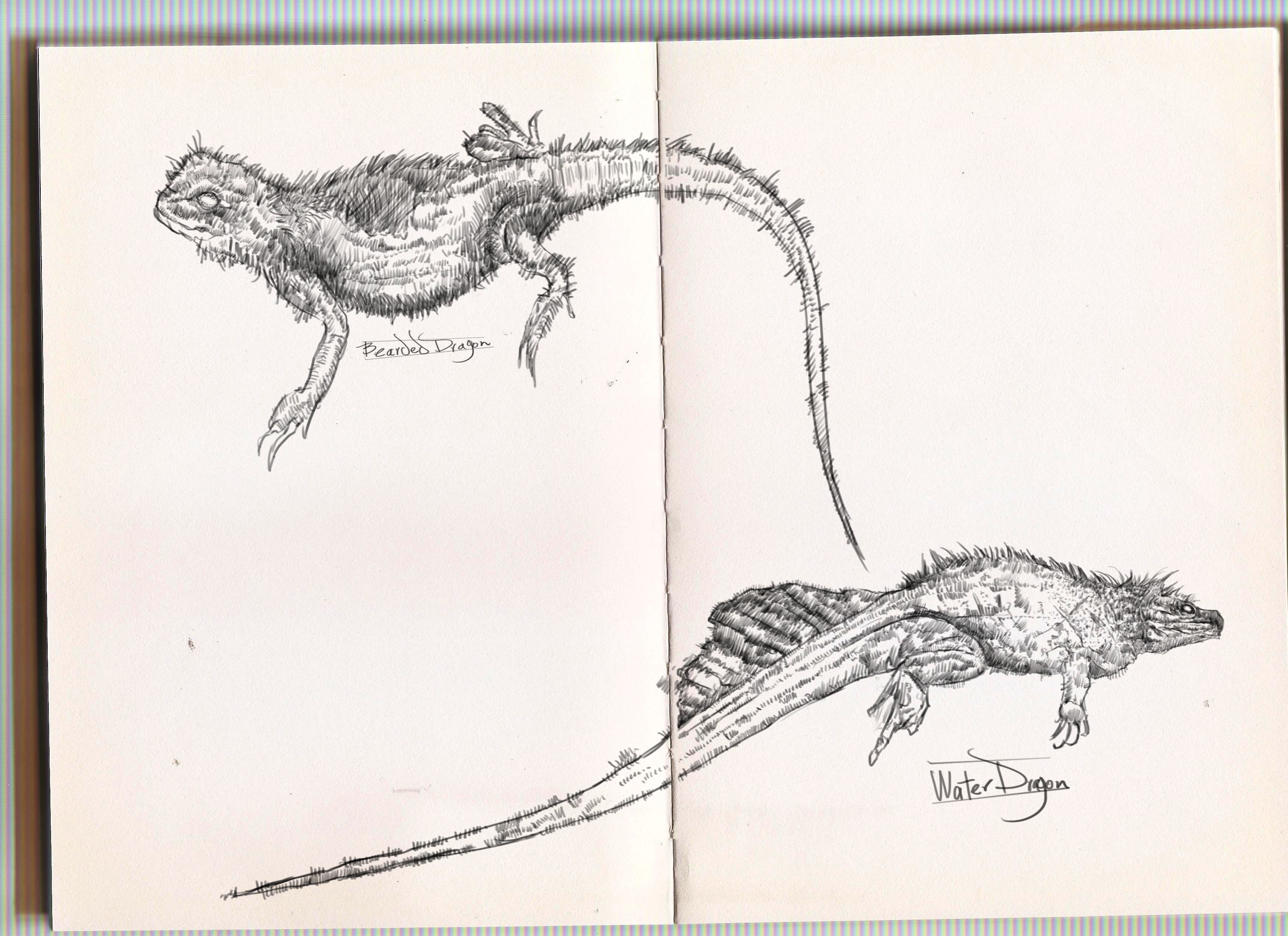 sketchbook V.1 2019-2020