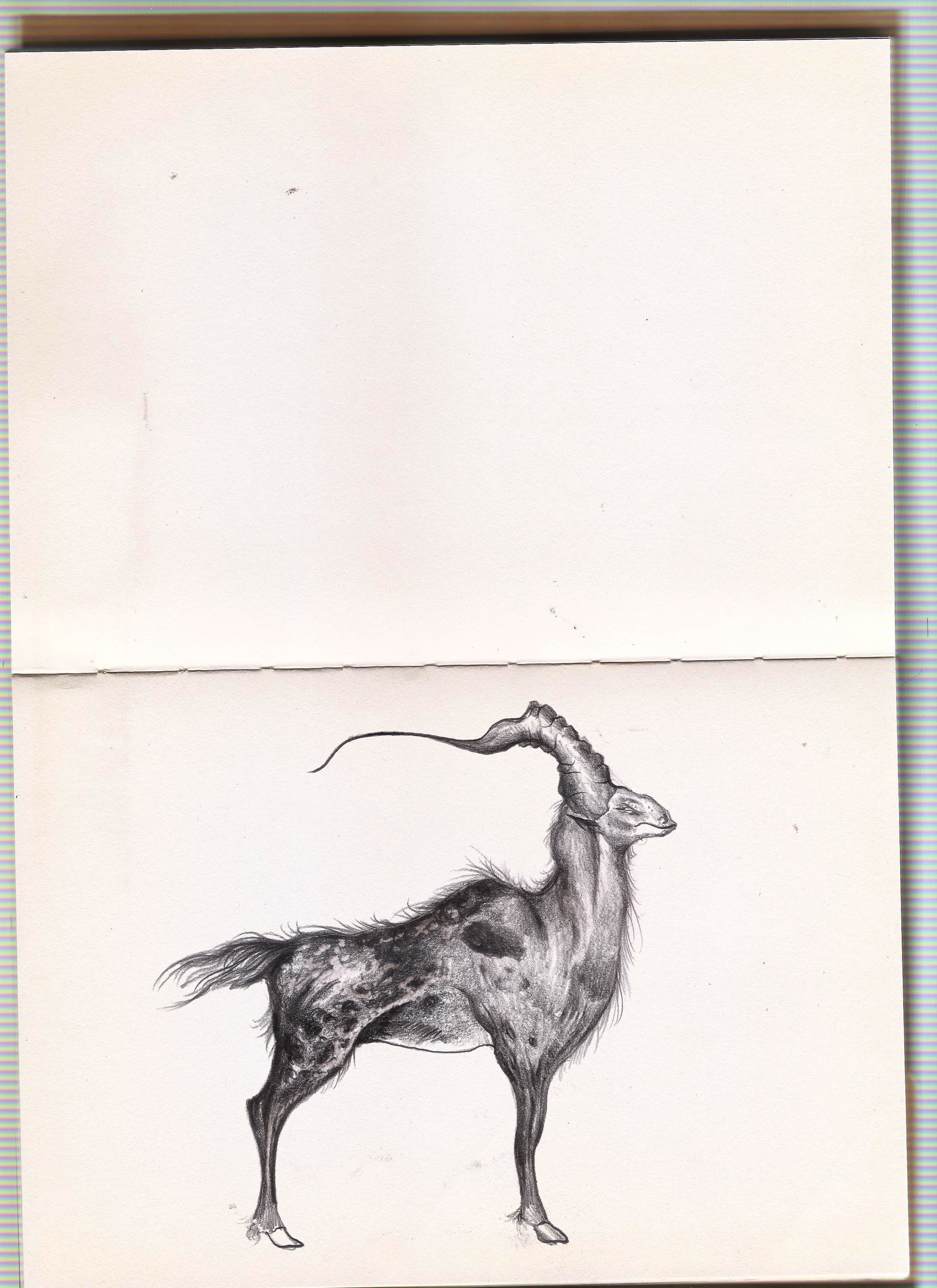 sketchbook V.1 2019-2020