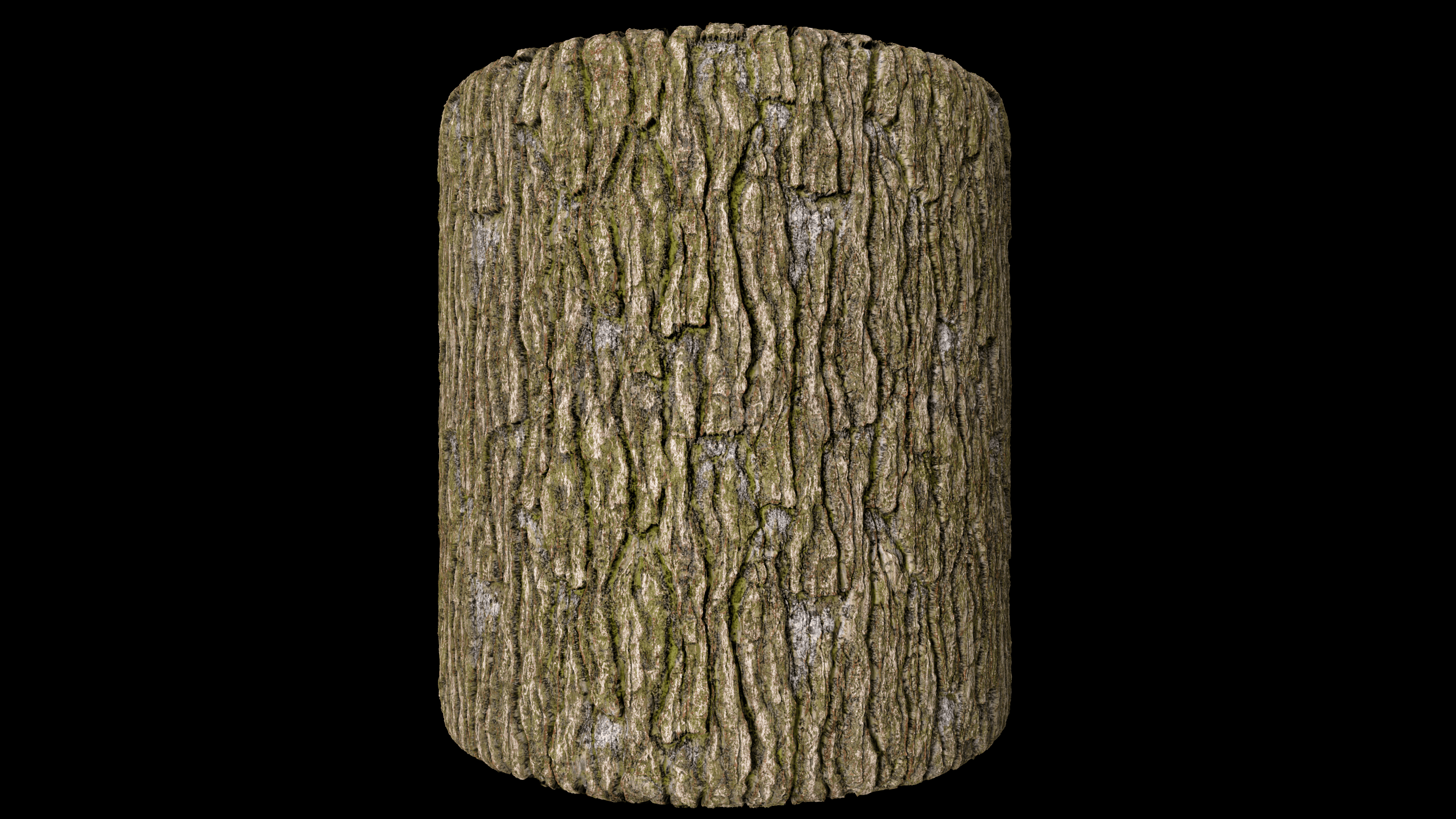 TREE BARK
