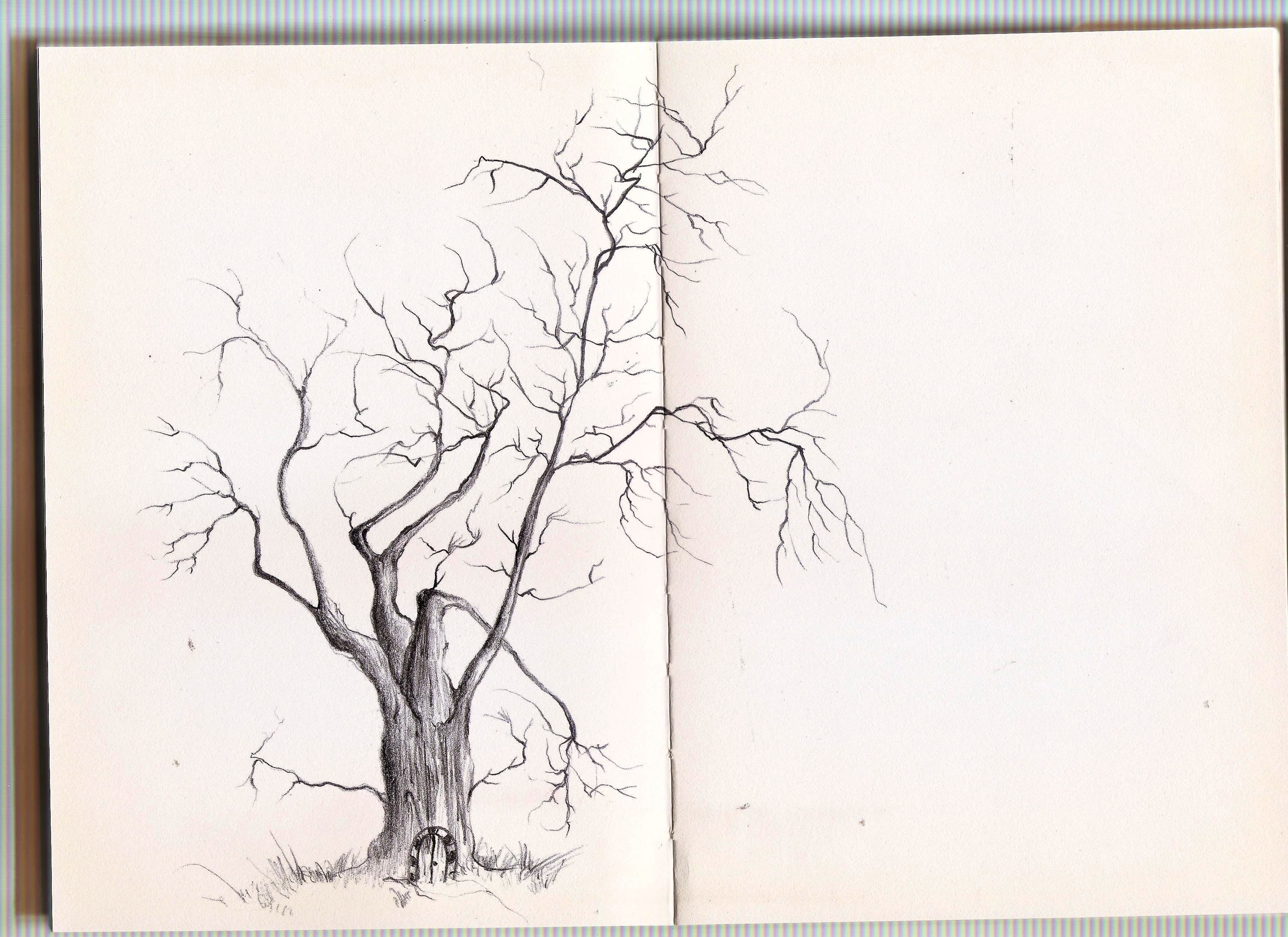 sketchbook V.1 2019-2020