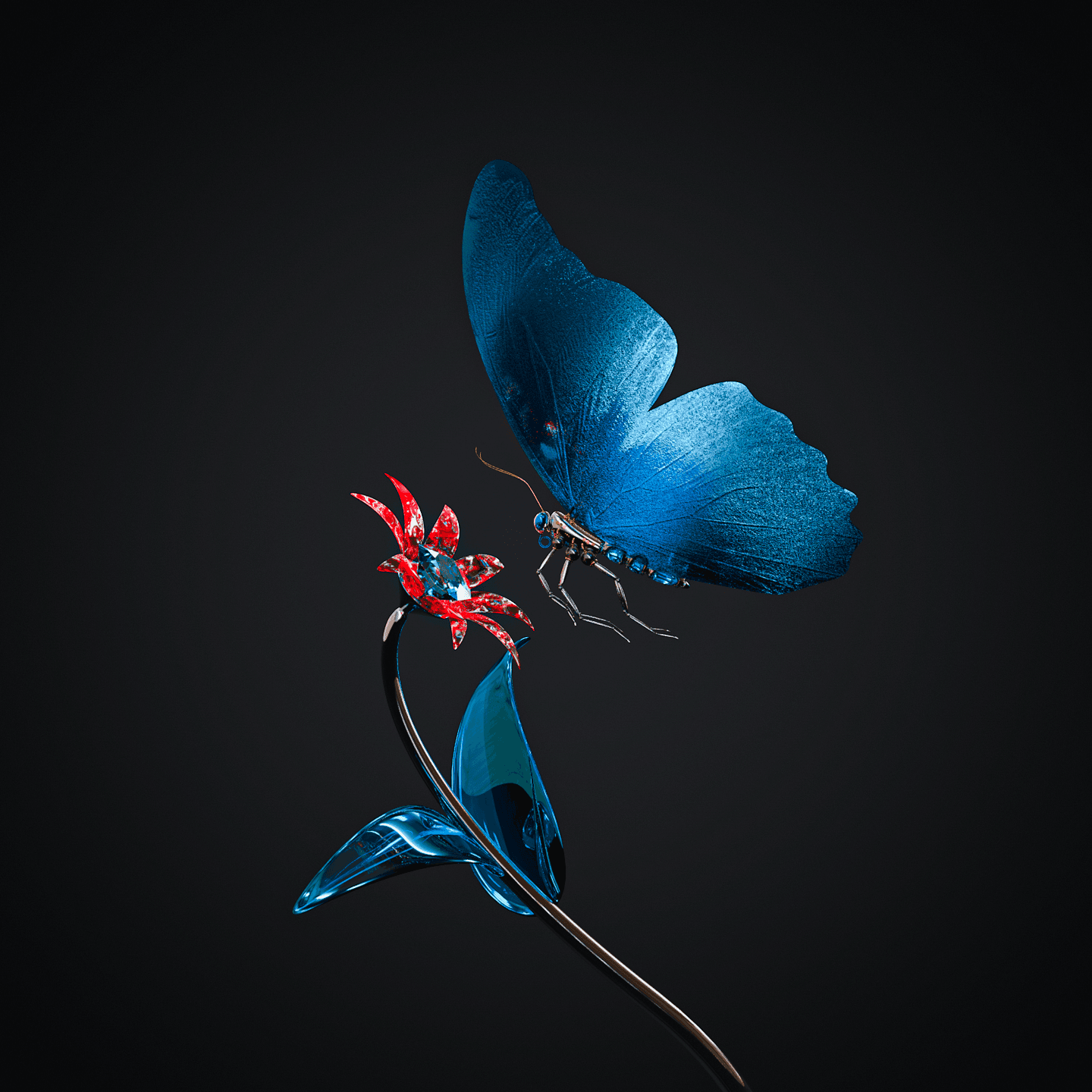 Blue butterfly