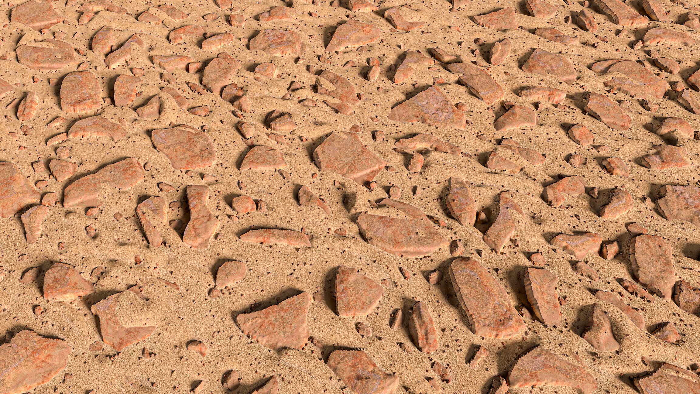 DESERT SANDY ROCKY SOIL