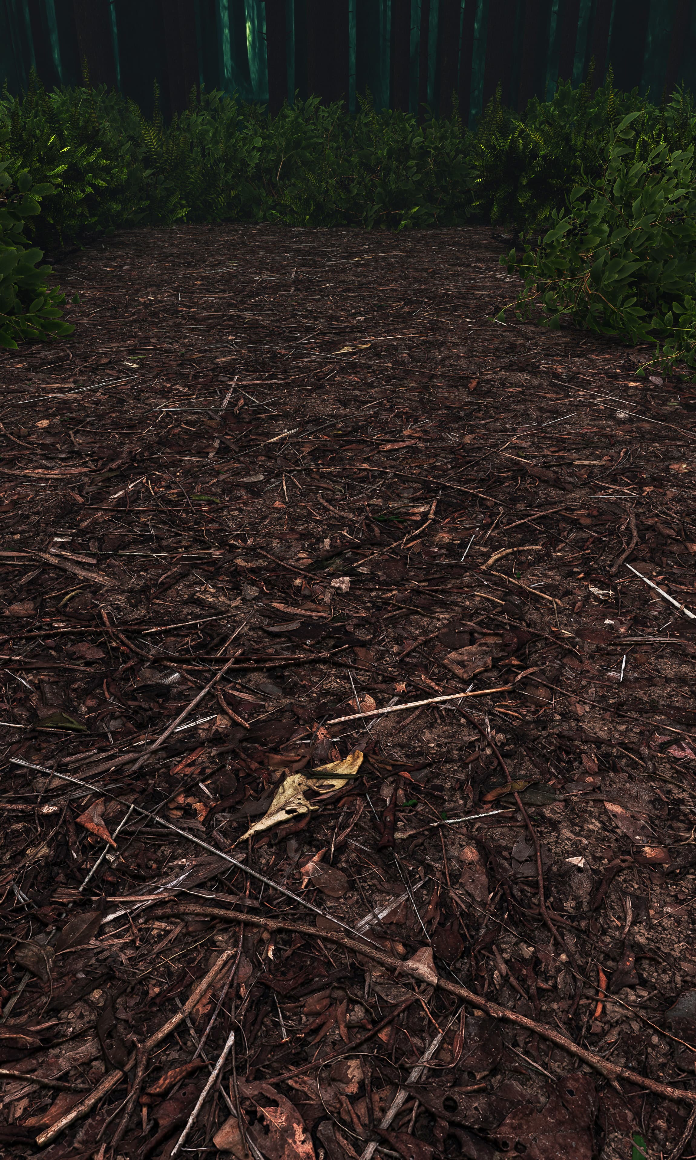 جنگل مه آلود