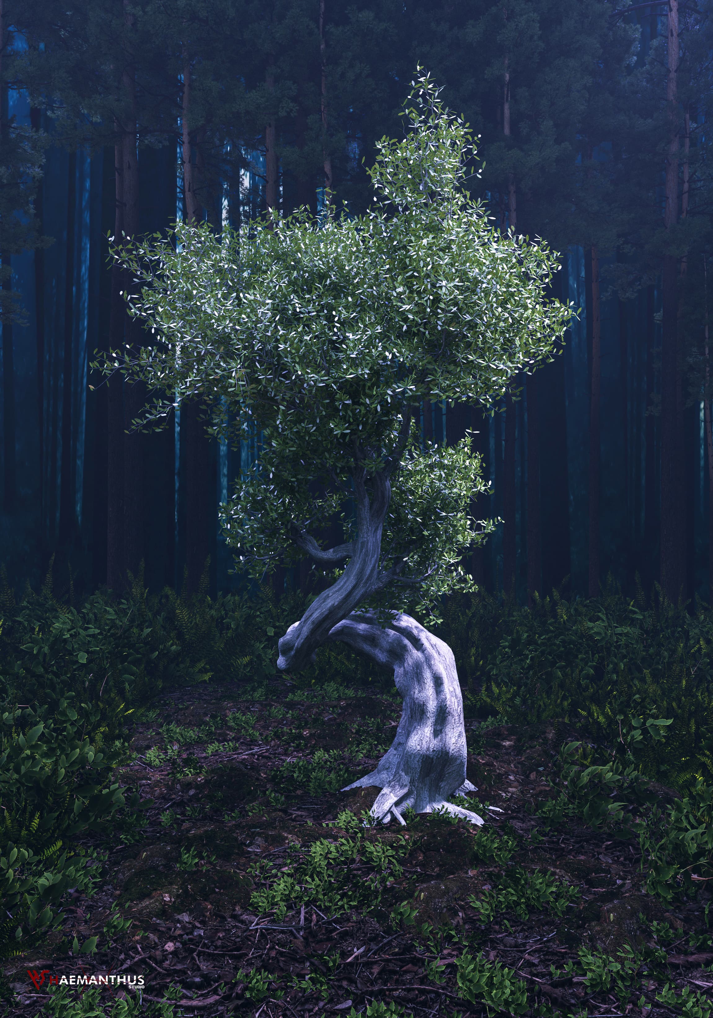 جنگل مه آلود