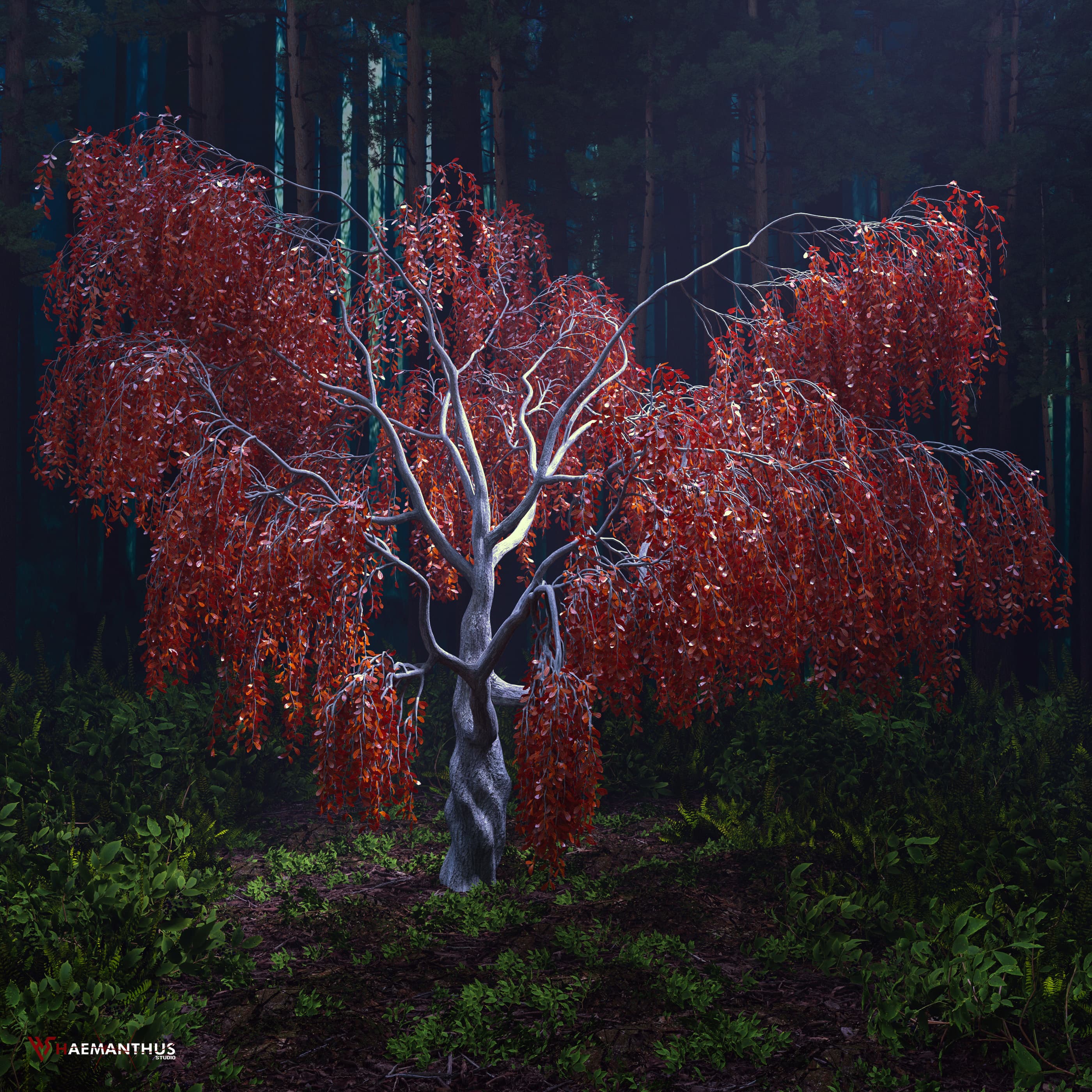 جنگل مه آلود