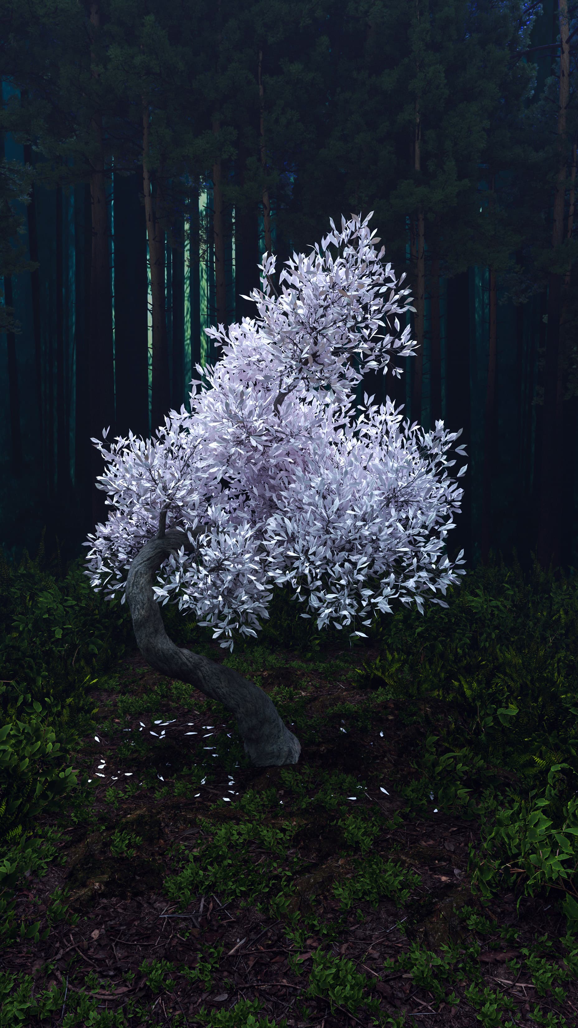 جنگل مه آلود