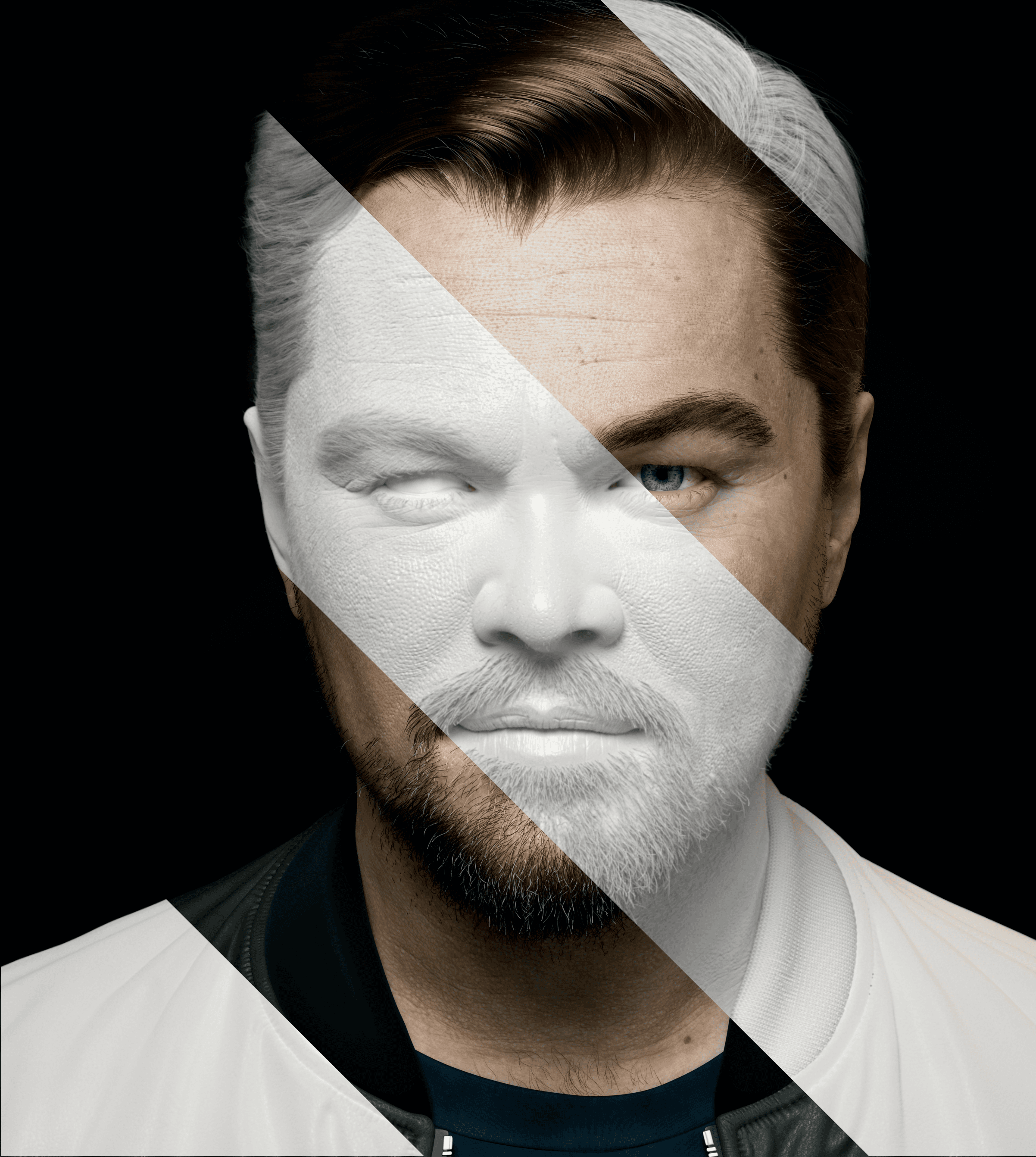 Leonardo Dicaprio portrait