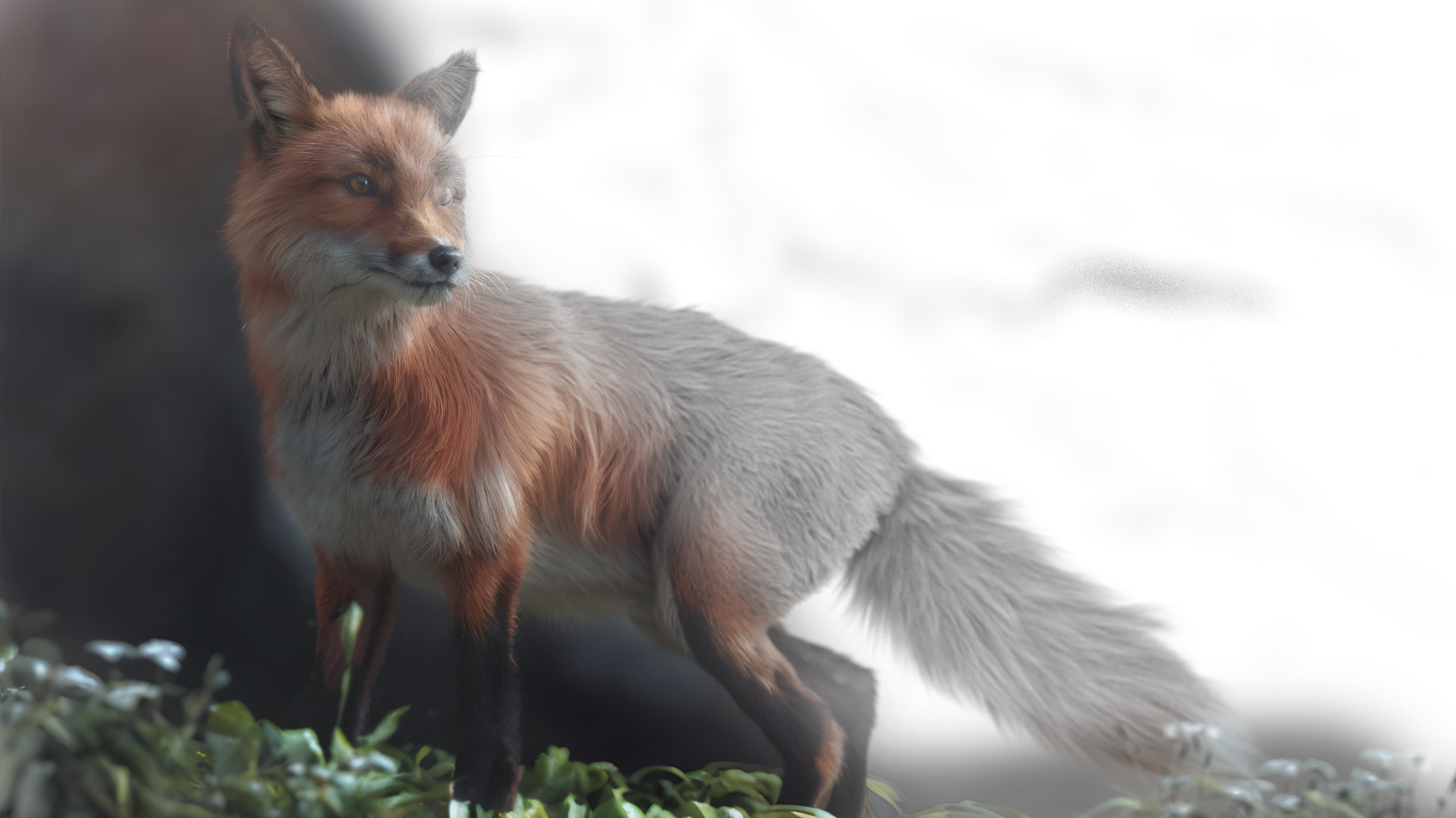 What Does The Fox Say