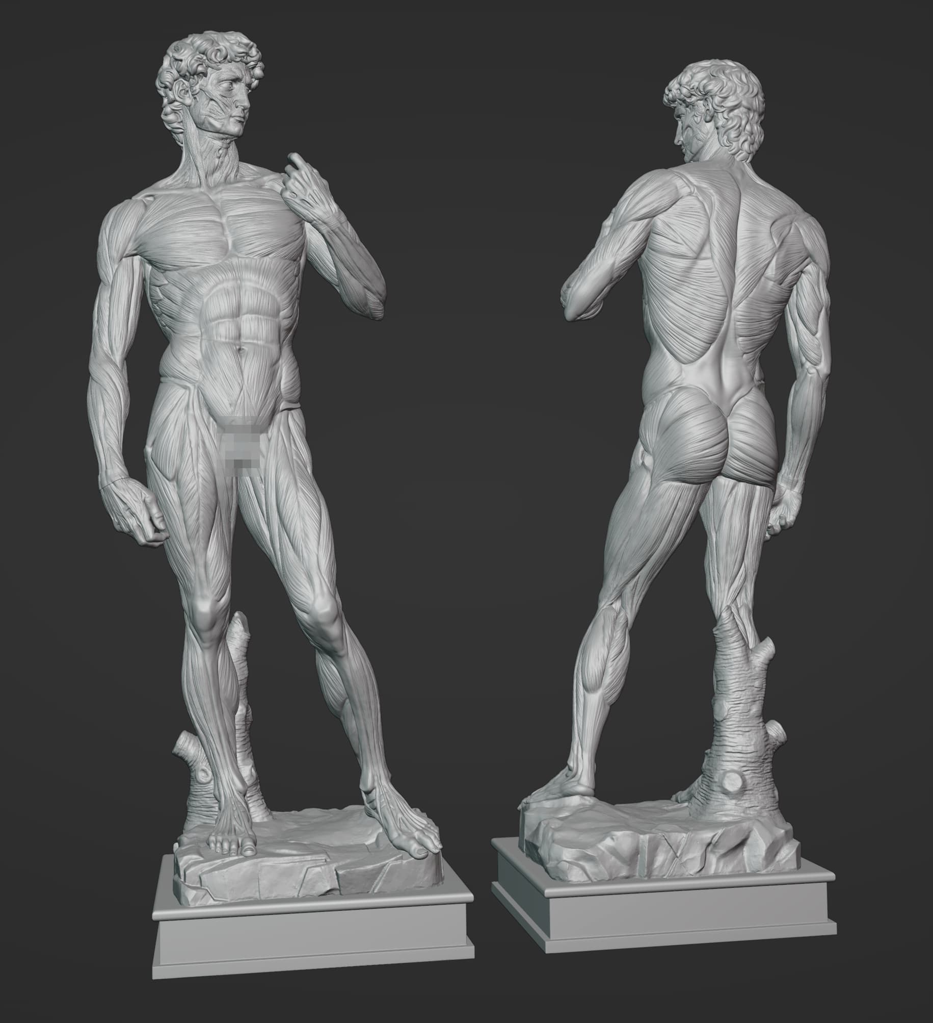 David Anatomy