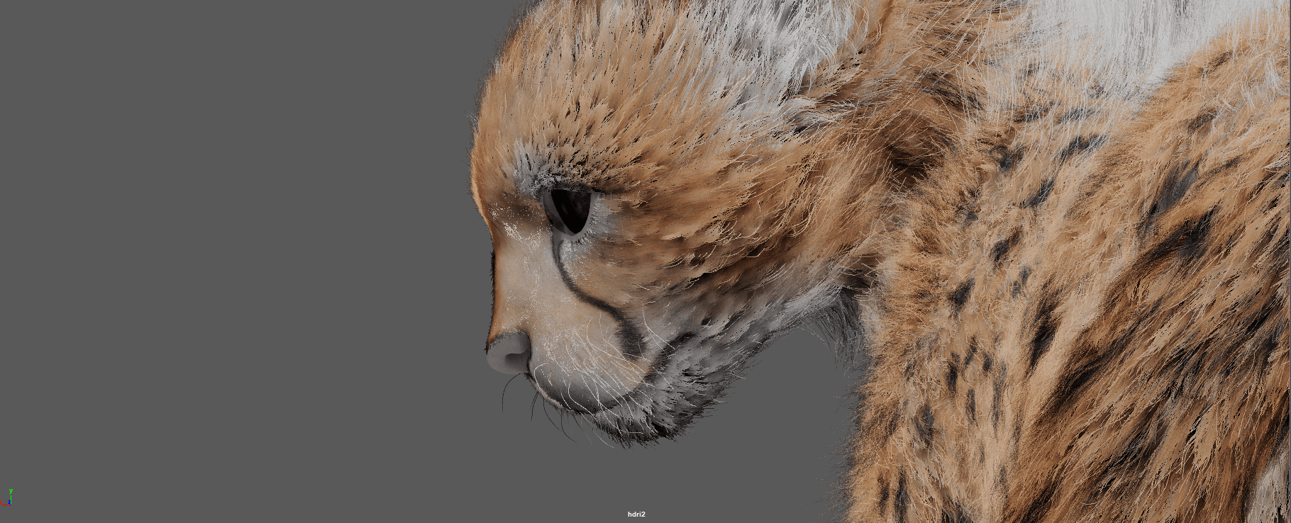 Cheetah (Yeti Grooming)