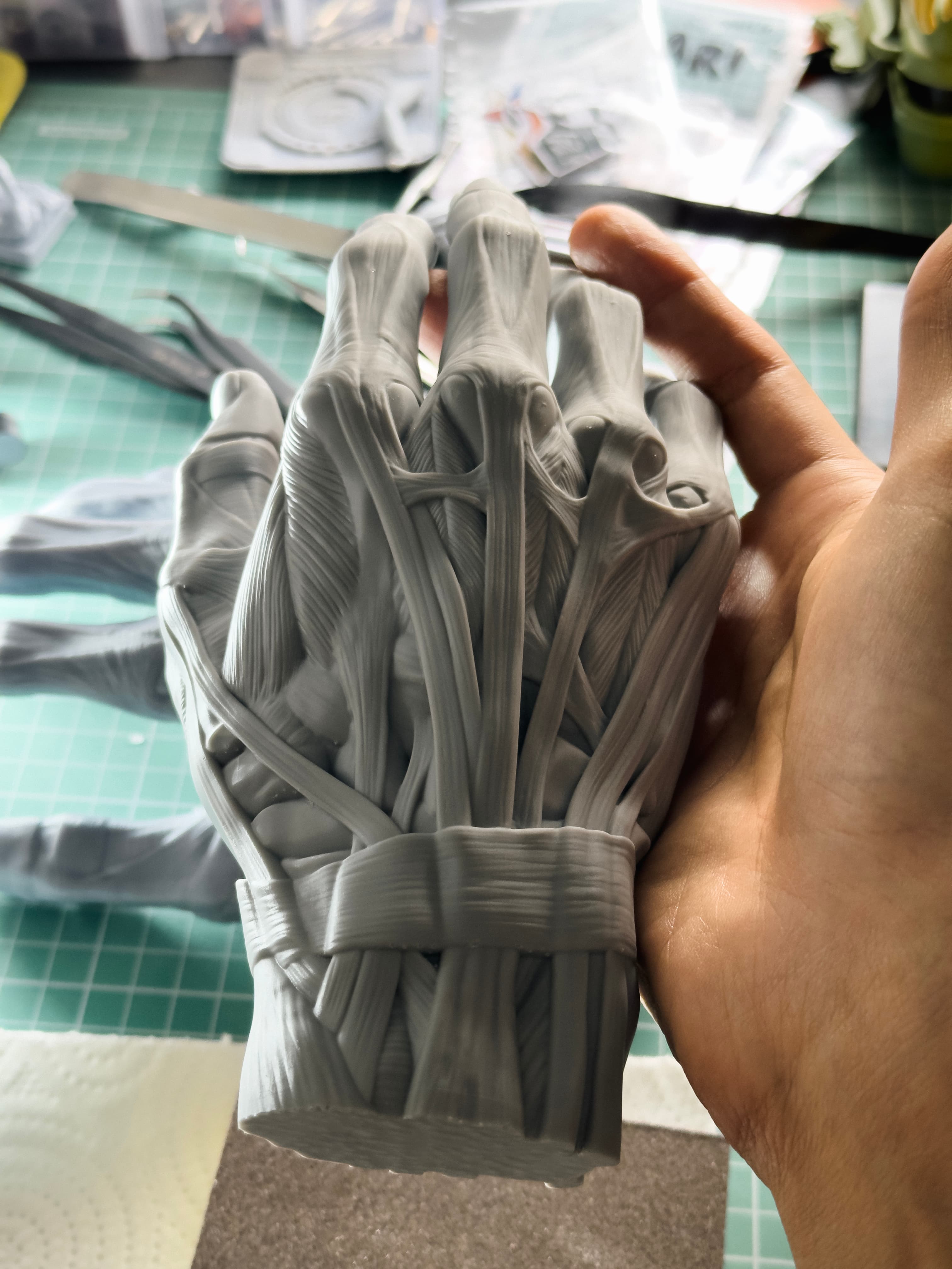 Hand Anatomy