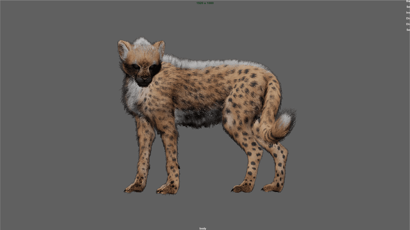 Cheetah (Yeti Grooming)