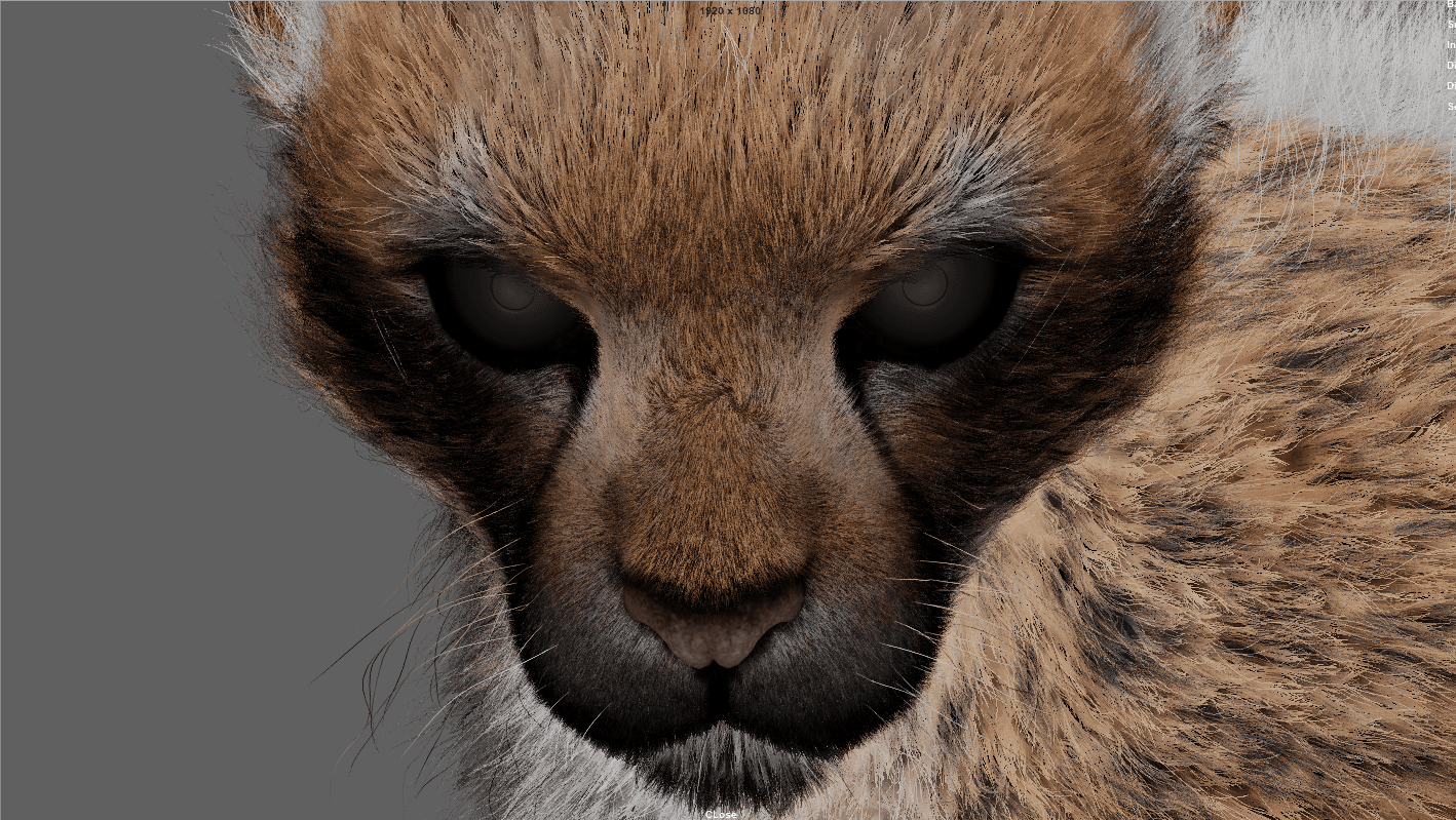 Cheetah (Yeti Grooming)
