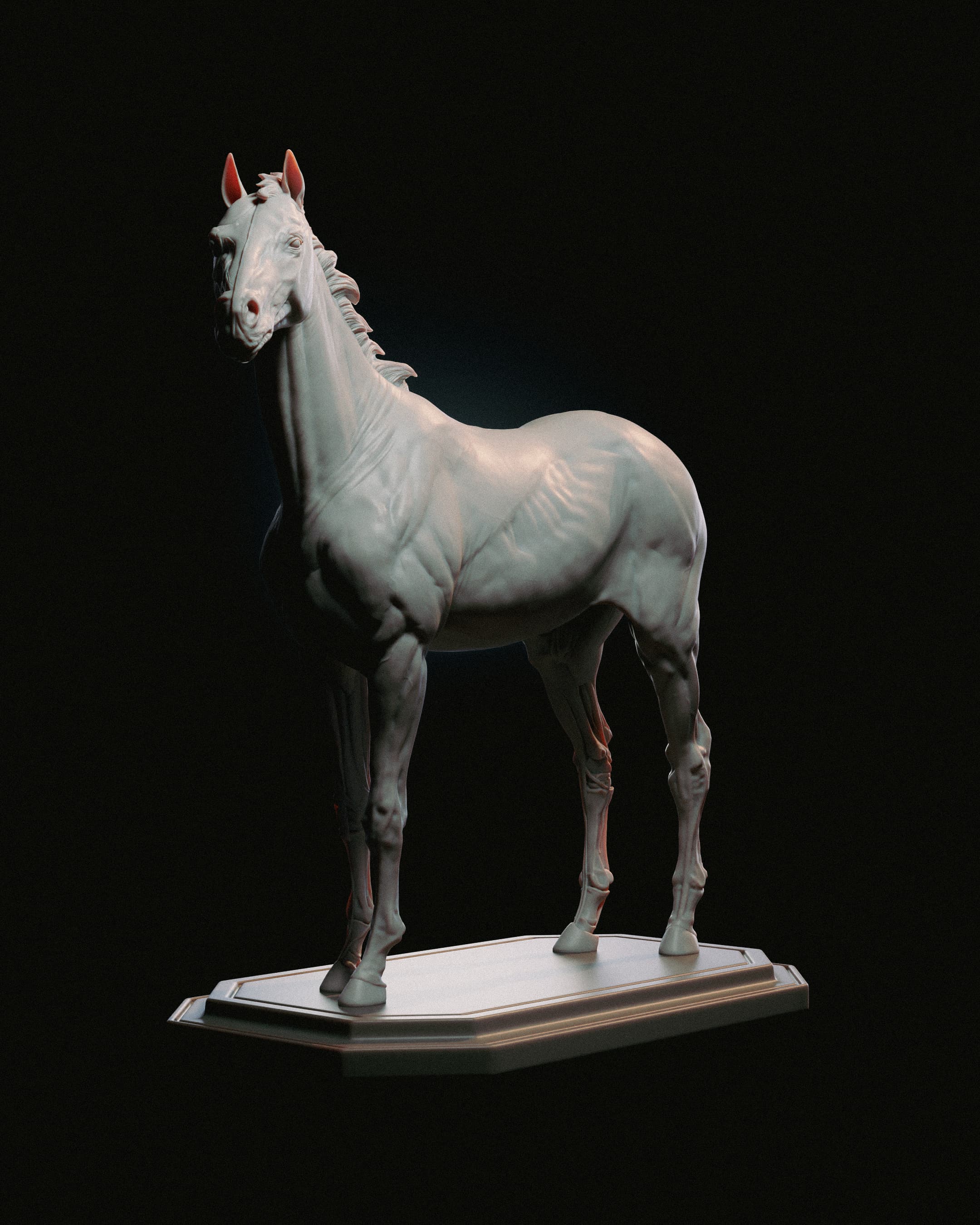Horse Anatomy