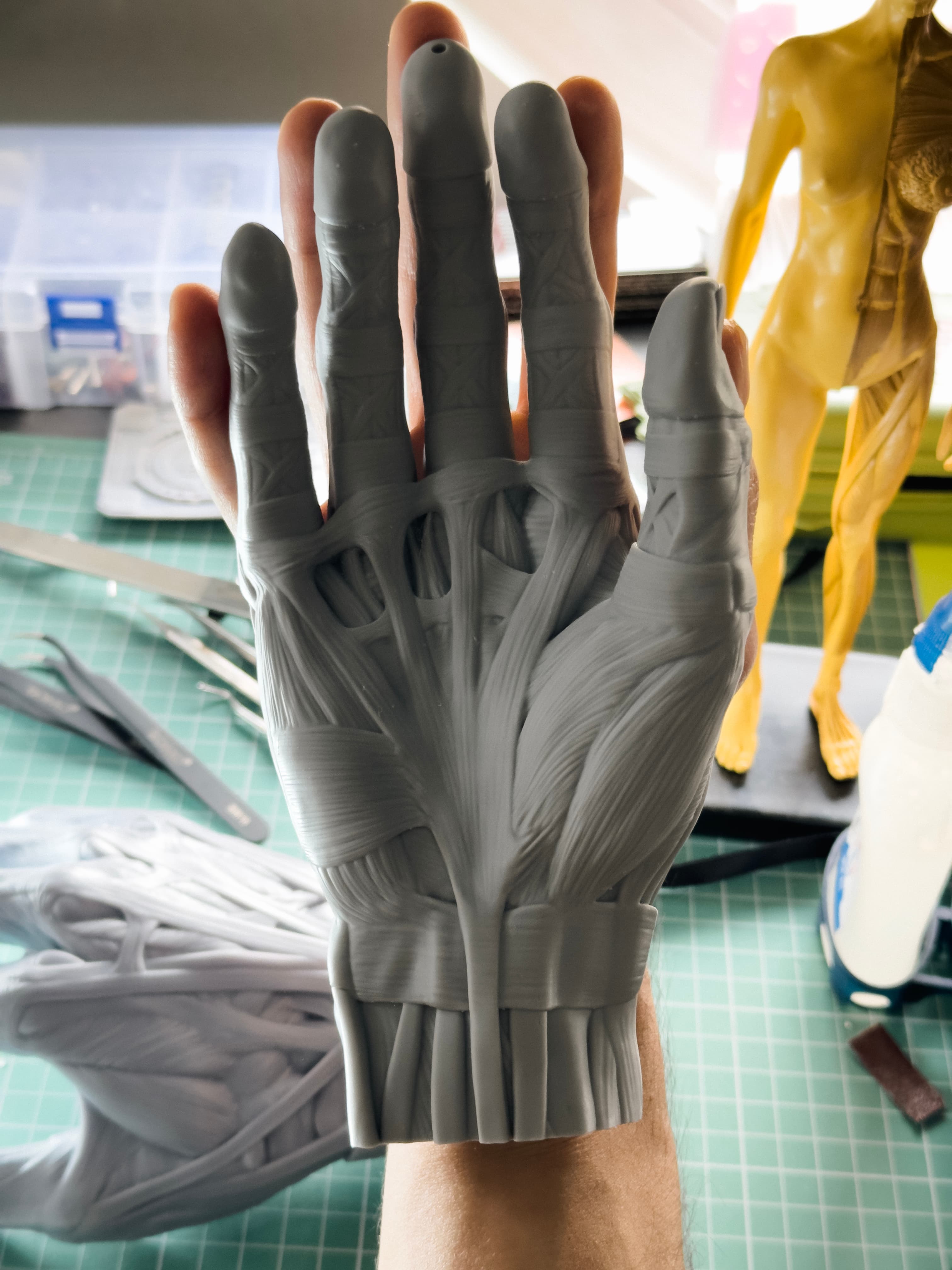 Hand Anatomy