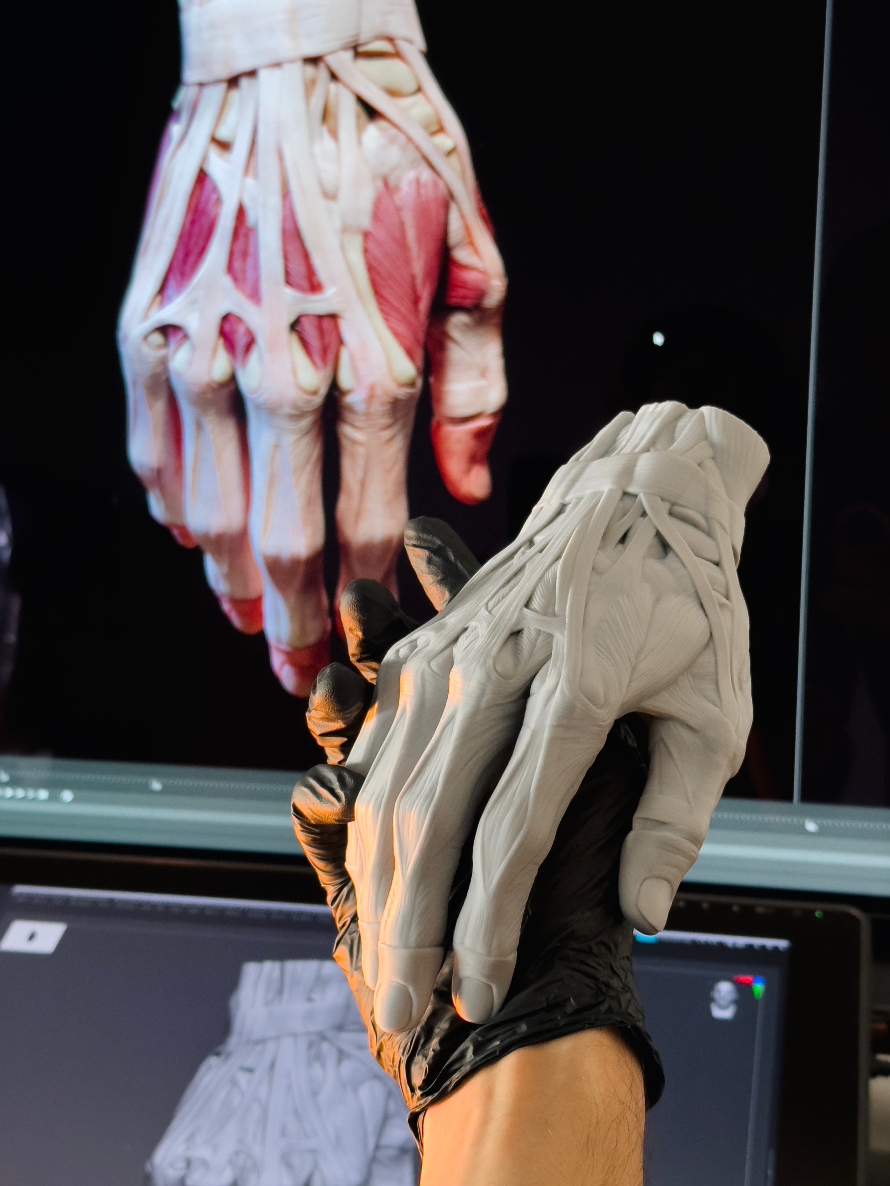 Hand Anatomy